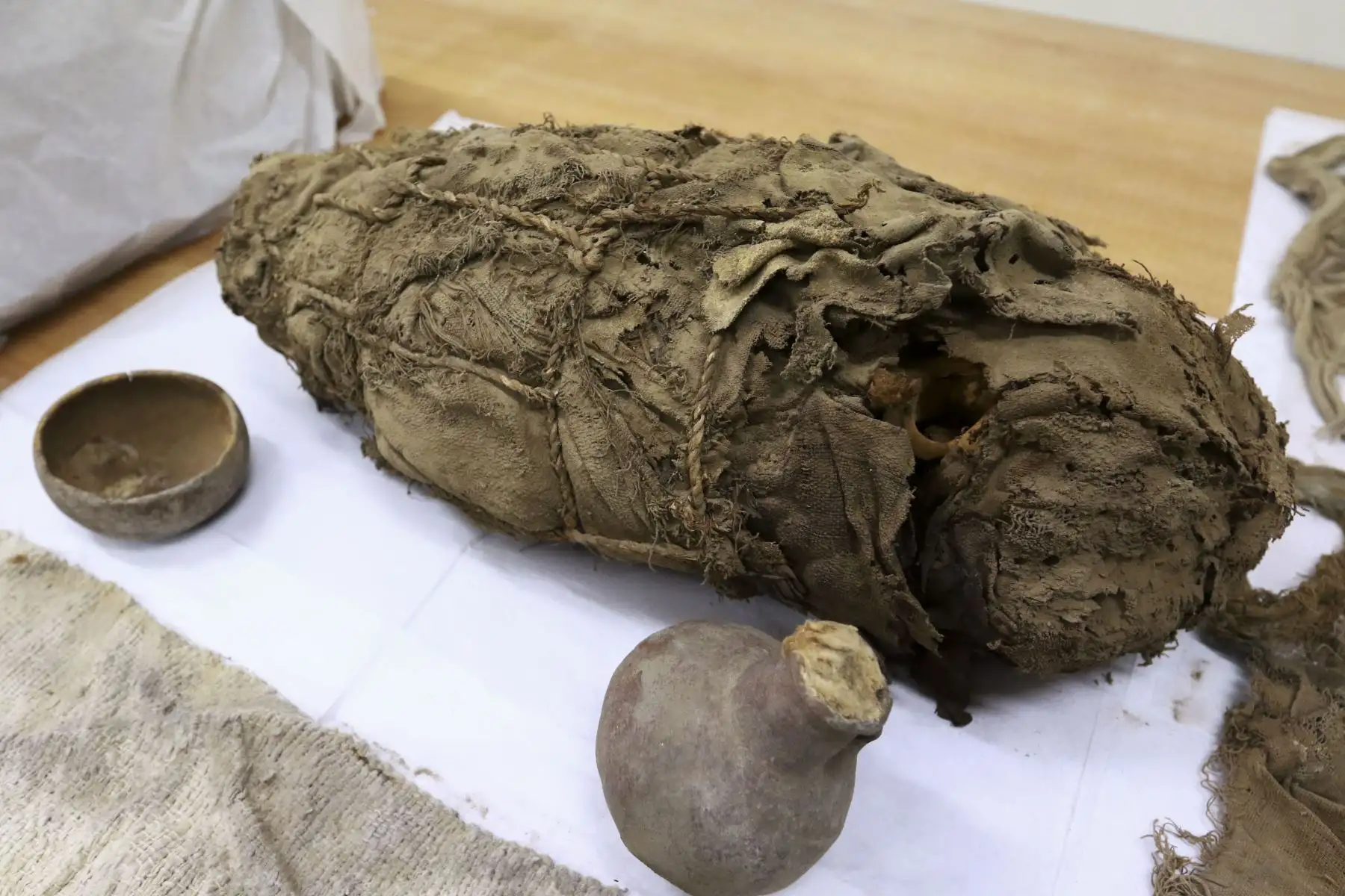 Universidad Nacional Mayor de San Marcos presenta al mundo a la "Momia de Cajamarquilla", hallada por arqueólogos sanmarquinos dentro de una cámara funeraria de unos tres metros de largo y a una profundidad de 1.40 metros en el sitio arqueológico Cajamarquilla, al este de Lima. Foto: ANDINA/Jhonel Rodríguez