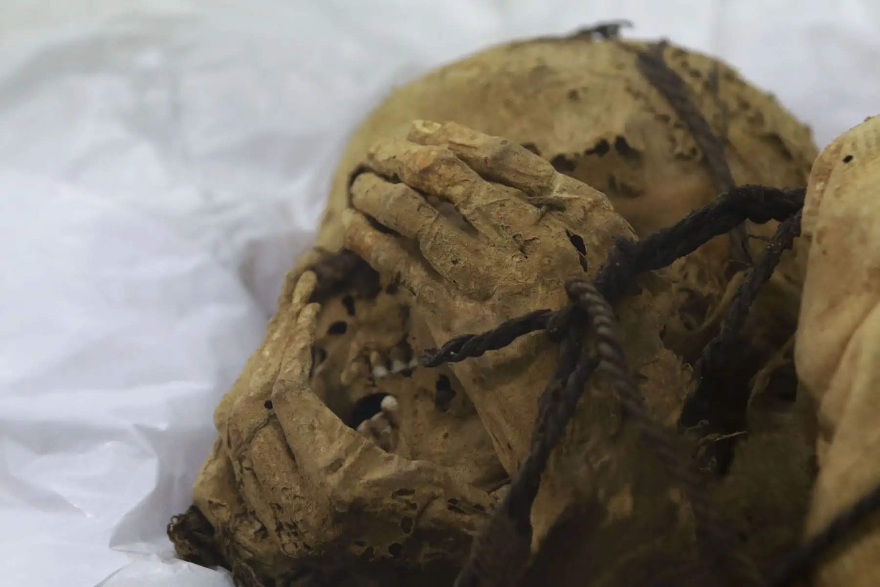 Universidad Nacional Mayor de San Marcos presenta al mundo a la "Momia de Cajamarquilla", hallada por arqueólogos sanmarquinos dentro de una cámara funeraria de unos tres metros de largo y a una profundidad de 1.40 metros en el sitio arqueológico Cajamarquilla, al este de Lima. Foto: ANDINA/Jhonel Rodríguez