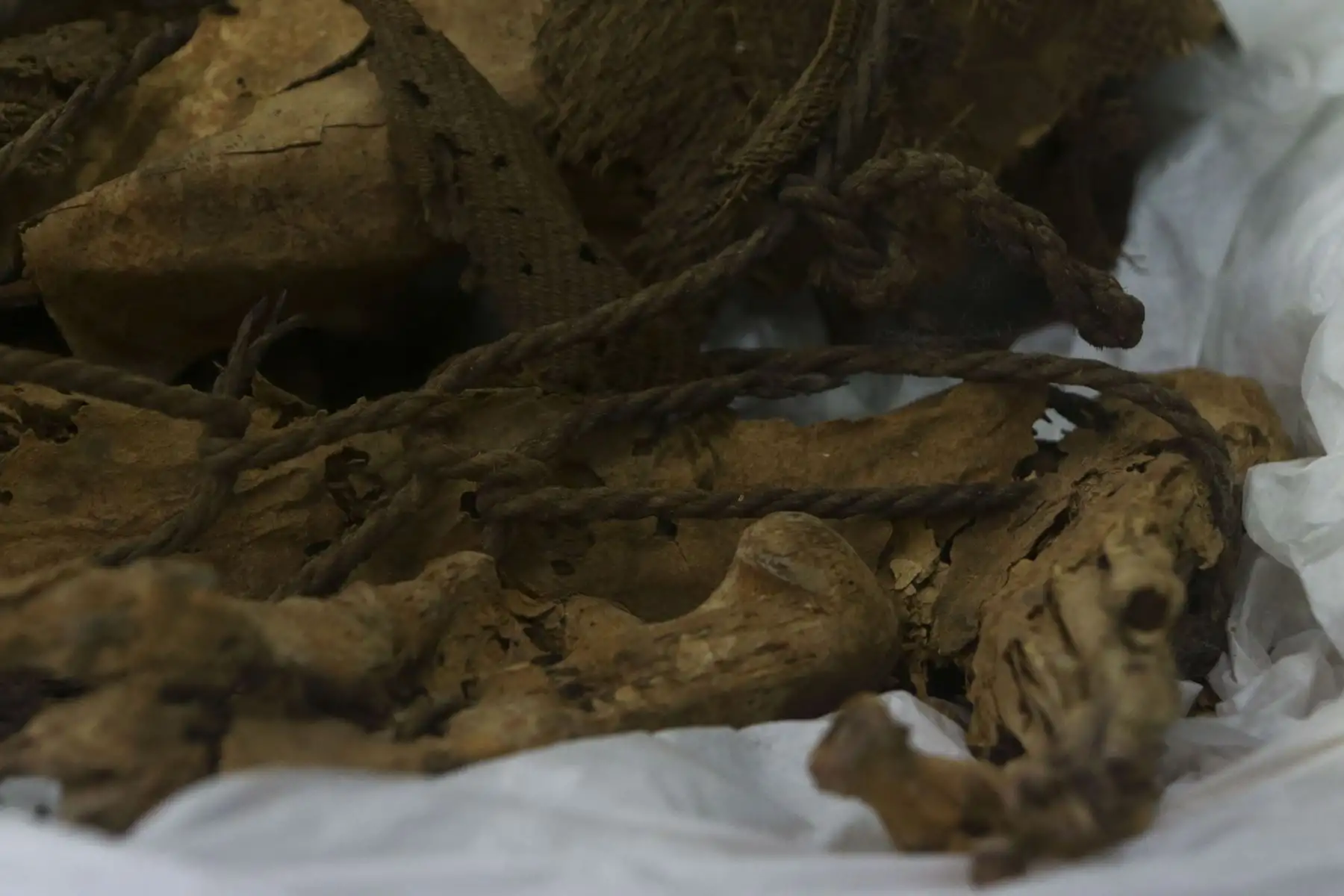 Universidad Nacional Mayor de San Marcos presenta al mundo a la "Momia de Cajamarquilla", hallada por arqueólogos sanmarquinos dentro de una cámara funeraria de unos tres metros de largo y a una profundidad de 1.40 metros en el sitio arqueológico Cajamarquilla, al este de Lima. Foto: ANDINA/Jhonel Rodríguez