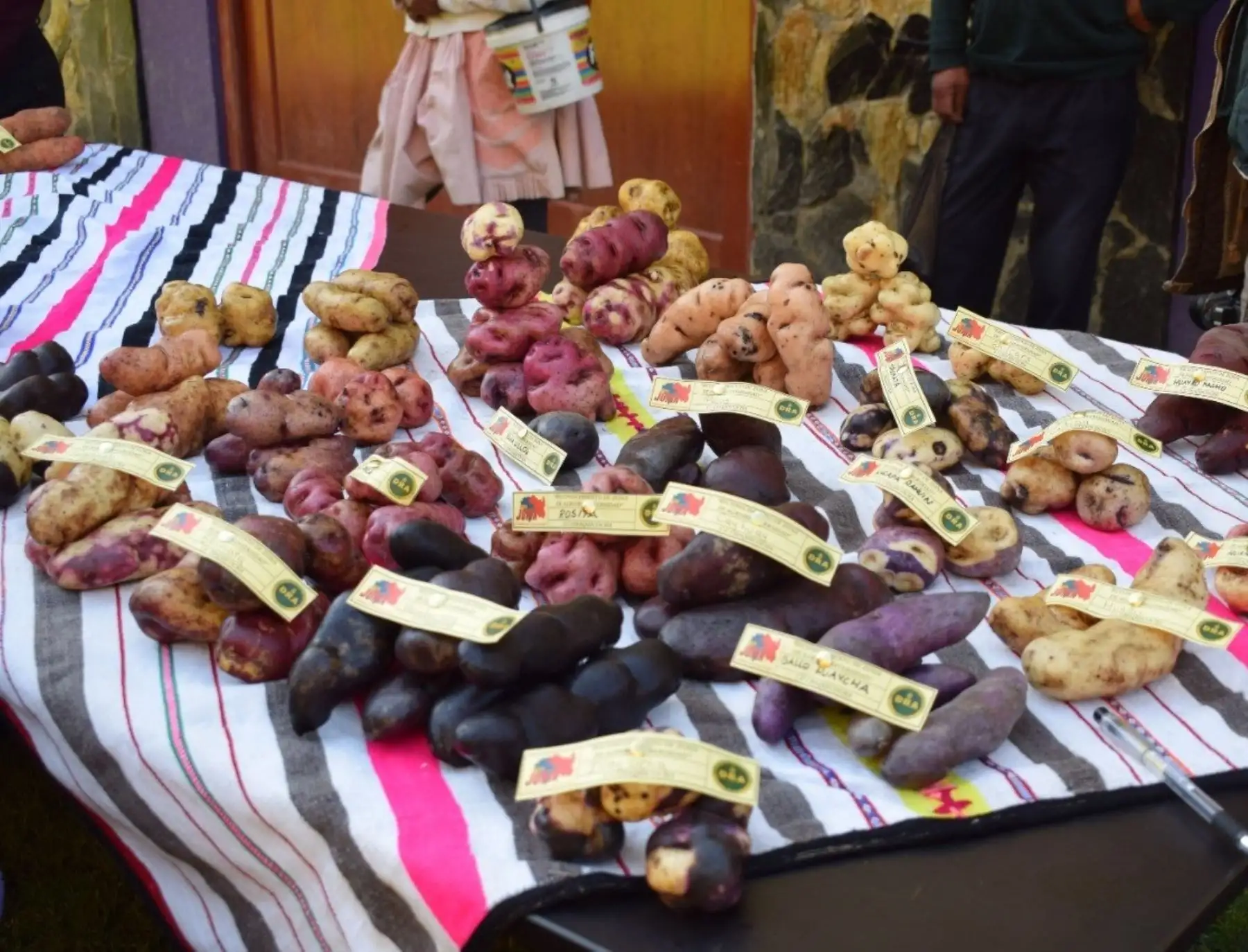 Pariahuanca se convierte oficialmente en la primera zona de agrobiodiversidad de Junín y de la sierra central del país.