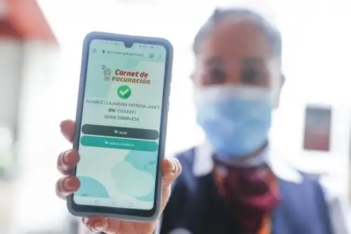 Minsa recomienda presentar carnet de vacunación físico o virtual contra el covid-19 del país en donde se vacunó la persona y su documento de identificación. Foto: ANDINA/Renato Pajuelo