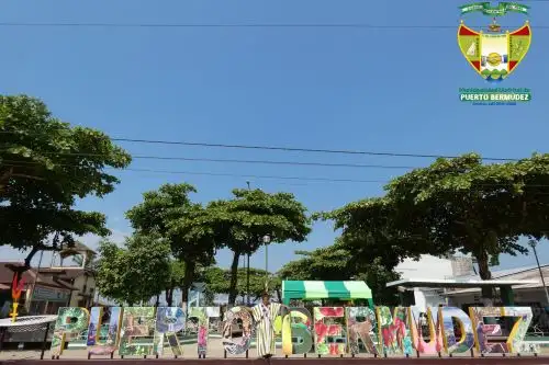 Epicentro de temblor de magnitud 4.8 fue a 21 kilómetros al oeste del distrito de Puerto Bermúdez, en la región Pasco. Foto: ANDINA/Difusión