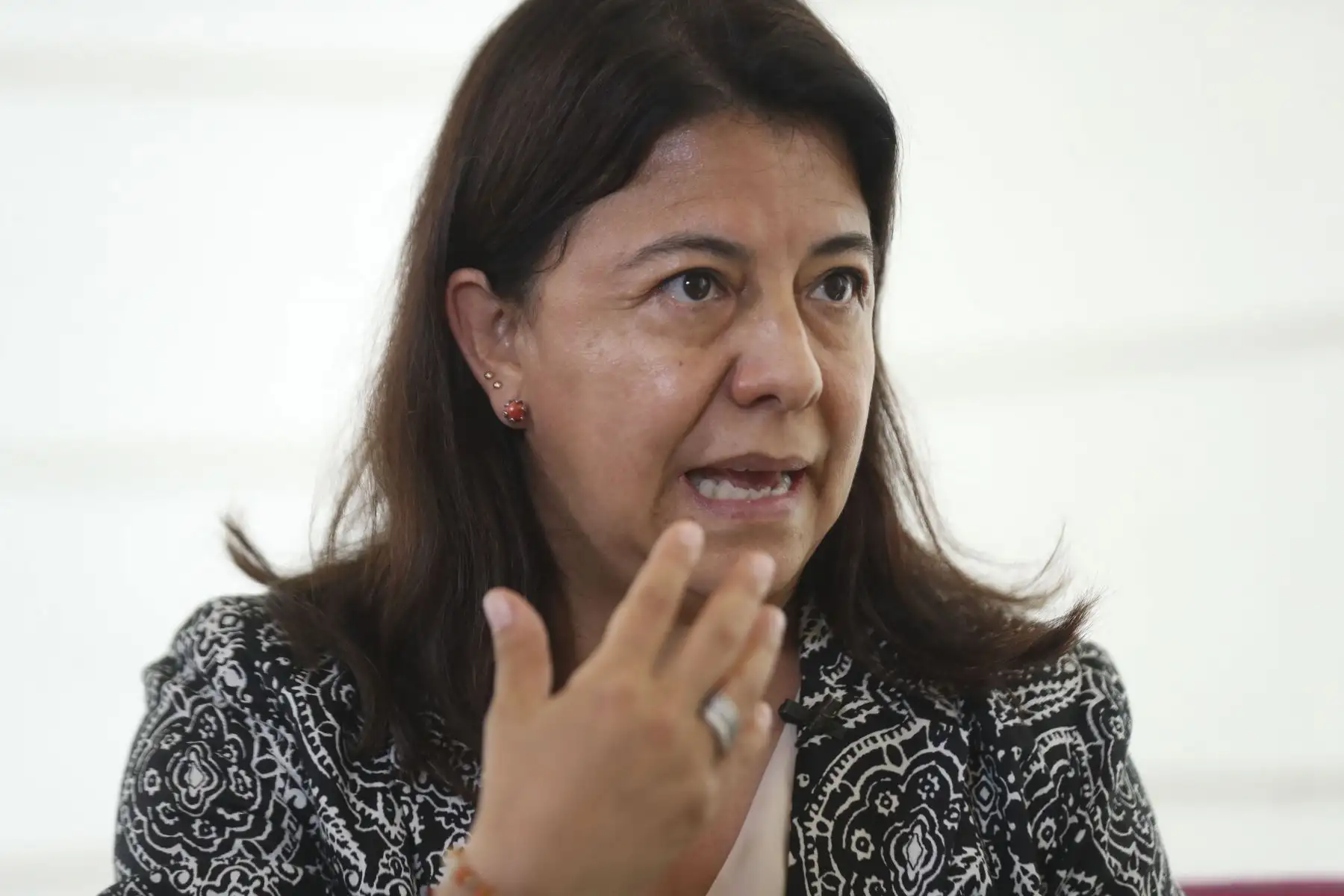 Photo: ANDINA/Carla Patiño