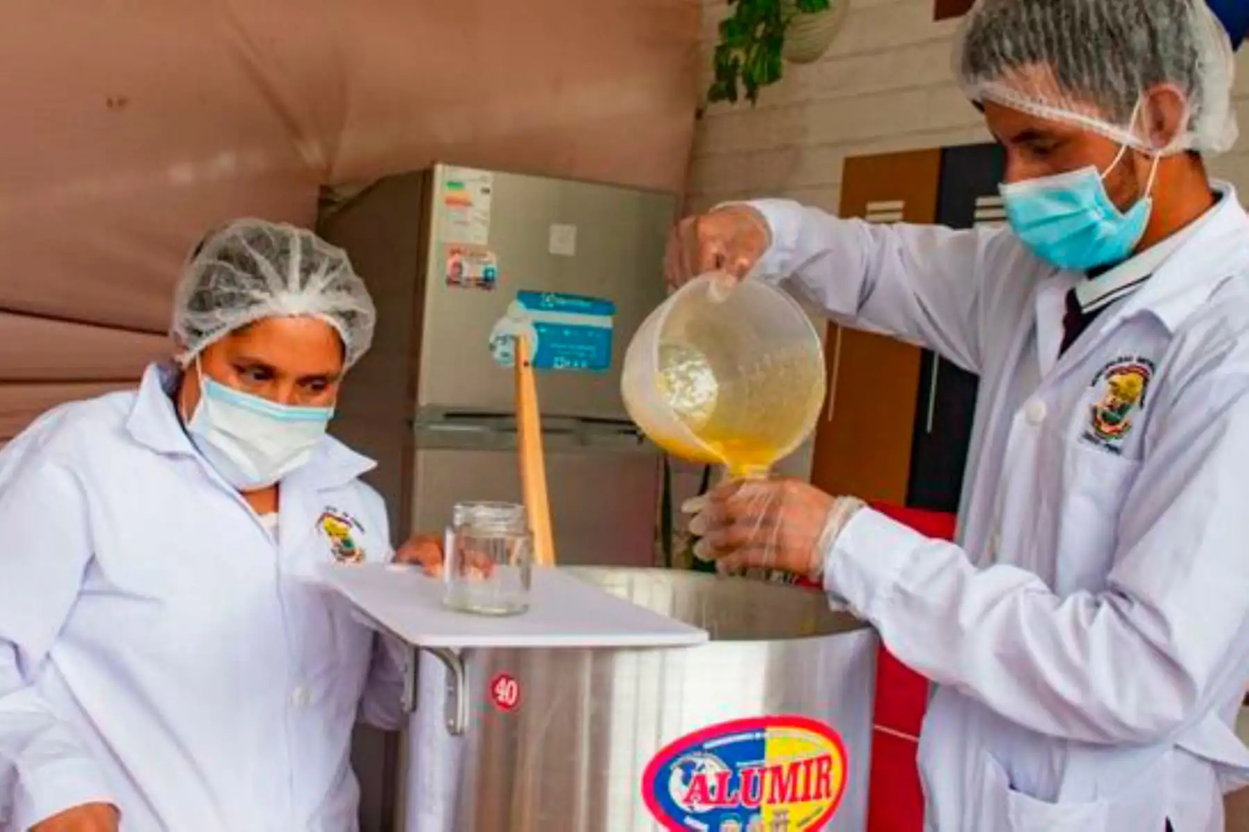 Se tiene como objetivo  potenciar la producción de este fruto en 100 hectáreas de cultivo. Foto: ANDINA/Devida.