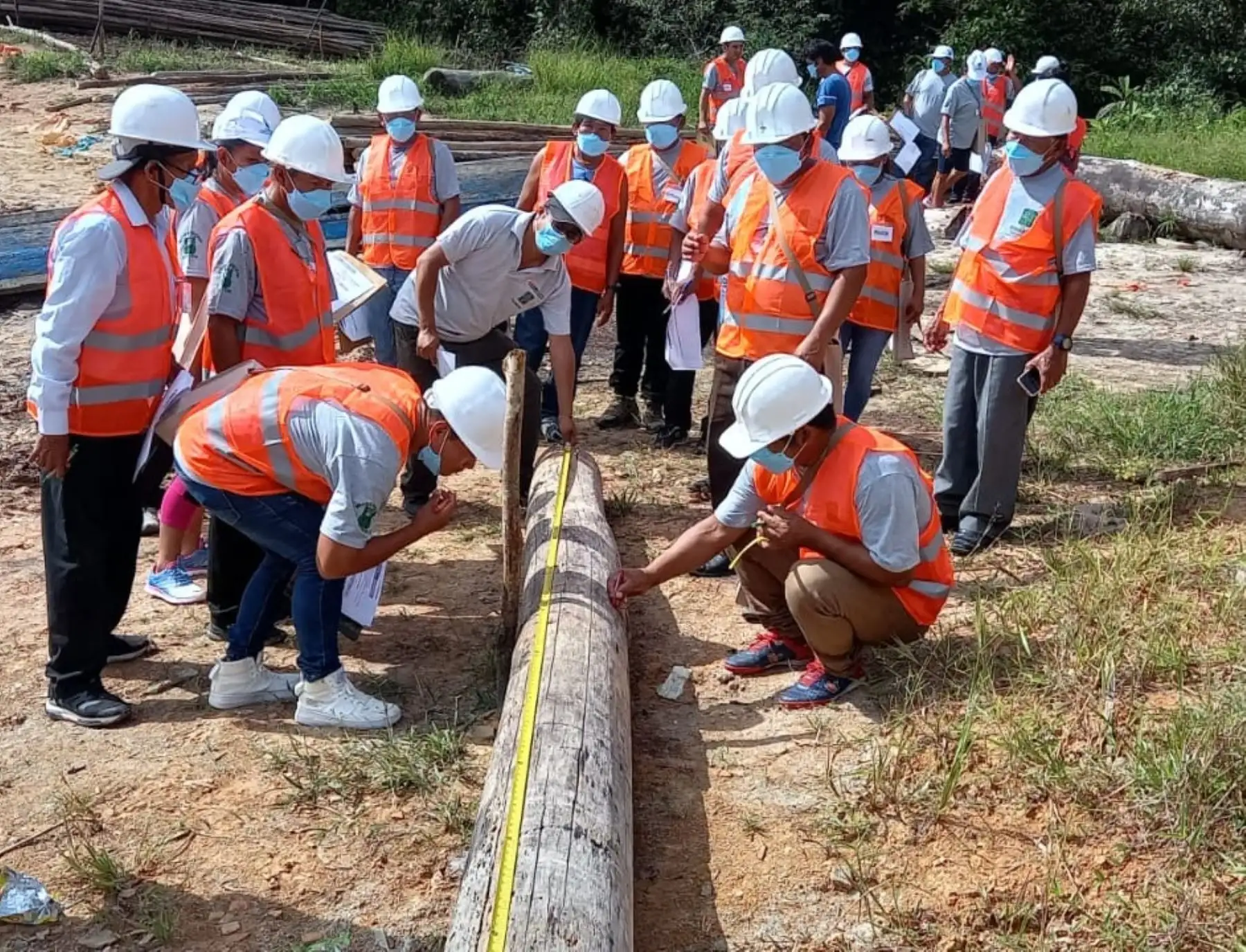 Especialistas de Osinfor capacitan a comunidades indígenas de Loreto y Ucayali en vigilancia de recursos del bosque. ANDINA/Difusión