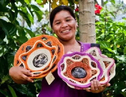 Más de 1,300 bionegocios sostenibles y amigables con el ambiente operan con éxito en Perú, destacó el Ministerio del Ambiente.