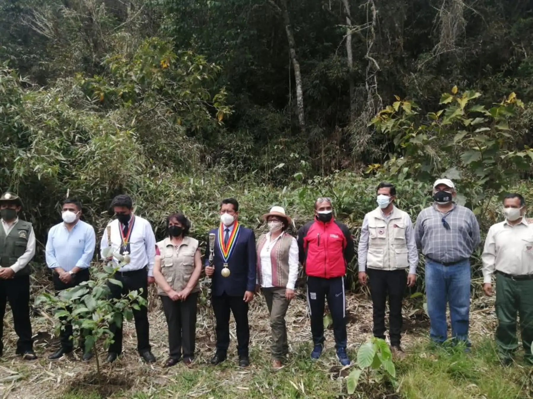 Autoridades de la Dirección Desconcentrada de Cultura de Cusco, del SERNANP y de la Municipalidad Distrital de Machupicchu, así como representantes de UNESCO en Perú, develaron una placa conmemorativa por la inscripción de Machupicchu en la Lista del Patrimonio Mundial Mixto Cultural y Natural de la UNESCO y plantaron árboles de quina en el principal destino turístico del país. Foto: Mincul
