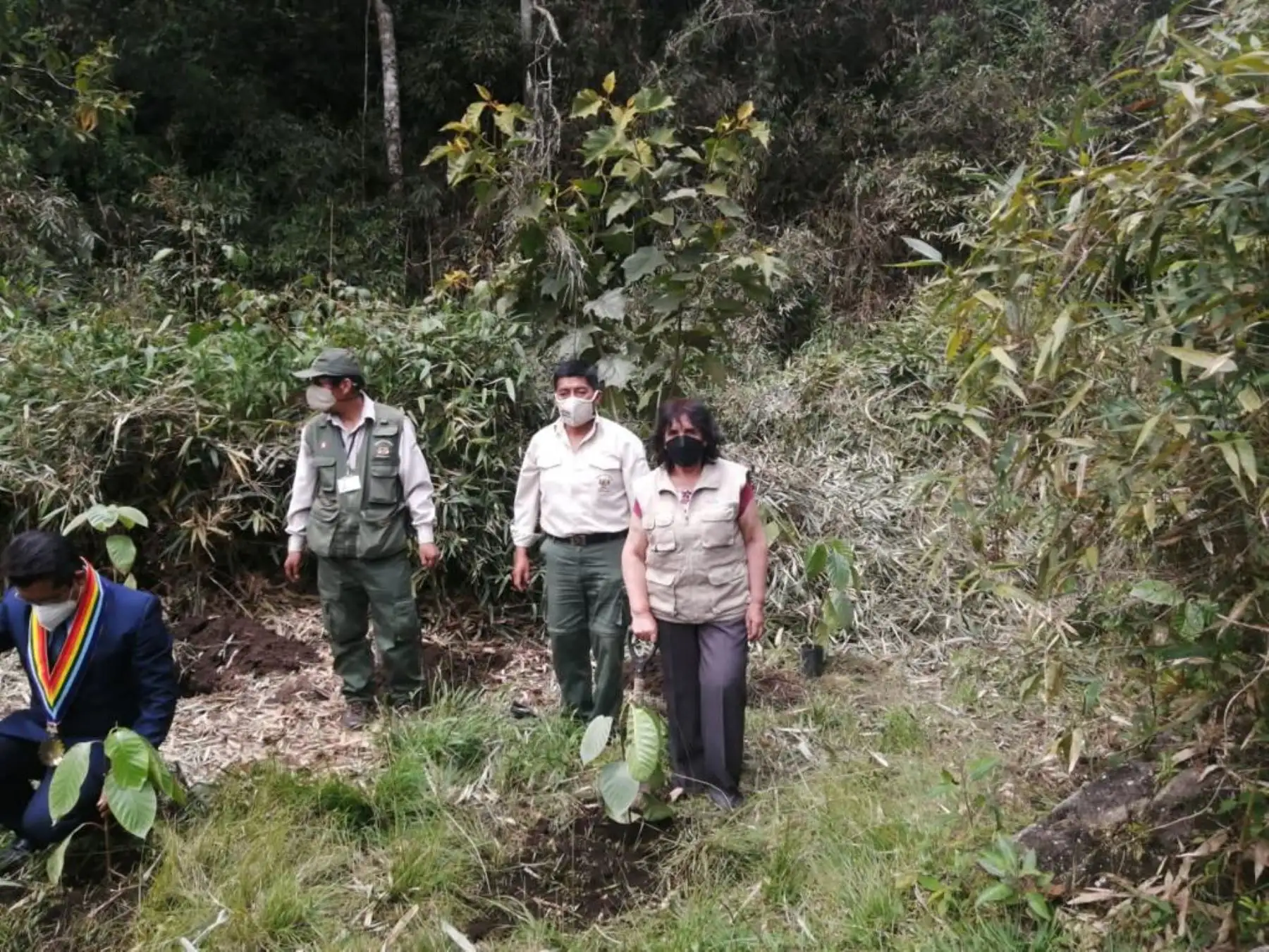 Autoridades de la Dirección Desconcentrada de Cultura de Cusco, del SERNANP y de la Municipalidad Distrital de Machupicchu, así como representantes de UNESCO en Perú, develaron una placa conmemorativa por la inscripción de Machupicchu en la Lista del Patrimonio Mundial Mixto Cultural y Natural de la UNESCO y plantaron árboles de quina en el principal destino turístico del país. Foto: Mincul