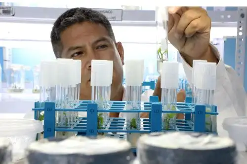 Concytec - como ente rector- intervino en las estrategias vinculadas a la ciencia, tecnología e innovación que permitirán reforzarla competitividad de cada cadena de valor.