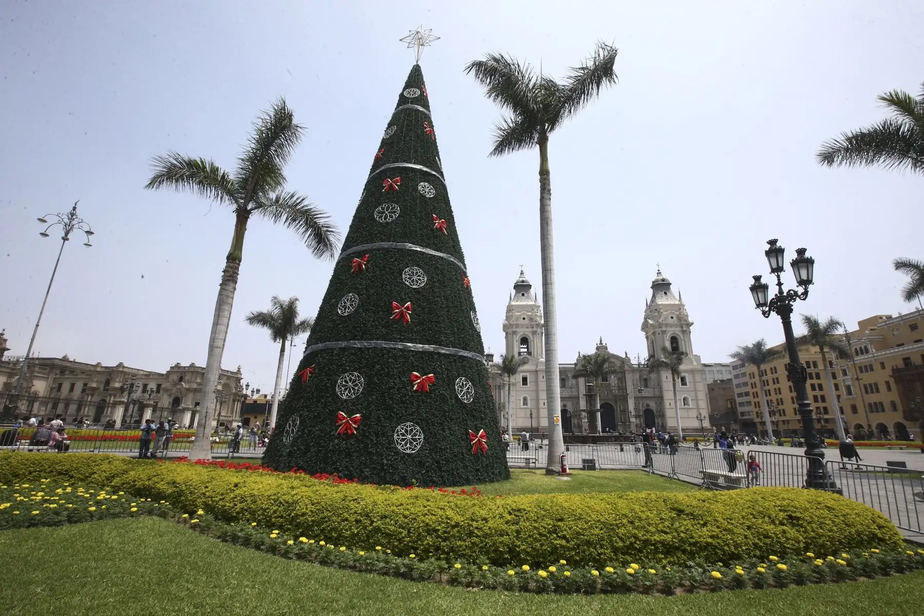 Ciudadanos se toman fotos frente al árbol navideño instalado en la Plaza de Armas de Lima. Foto: ANDINA/Vidal Tarqui