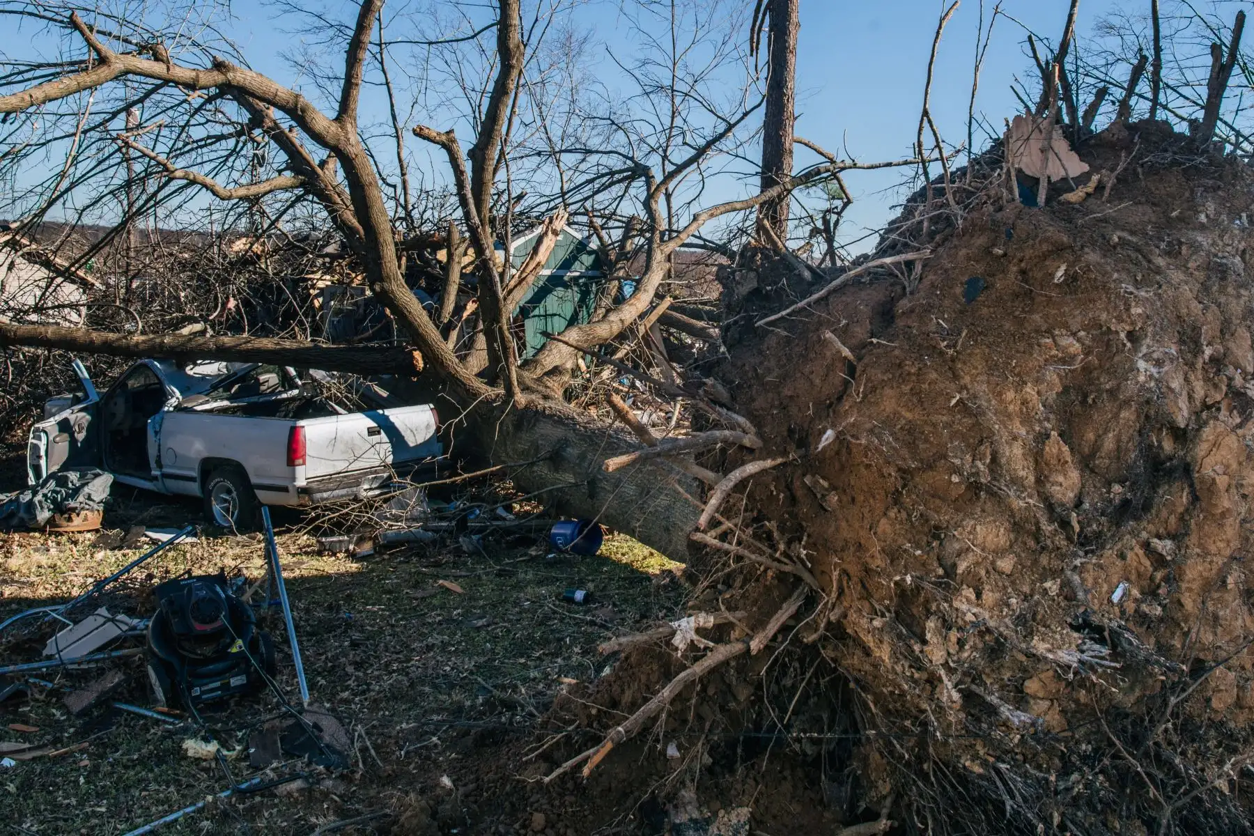 Se ve un árbol destruido y arrancado de raíz después de caer sobre un vehículo después de un tornado pasara por Mayfield, en el estado de Kentucky, EE.UU. Foto: AFP