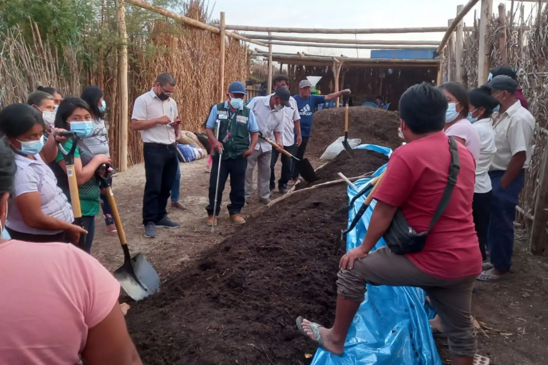 Los beneficiados provienen de Ayacucho, Apurímac, Amazonas, Cajamarca, Cusco, La Libertad, Piura, San Martín, Arequipa, Huancavelica y Junín. Foto: ANDINA/Agro Rural