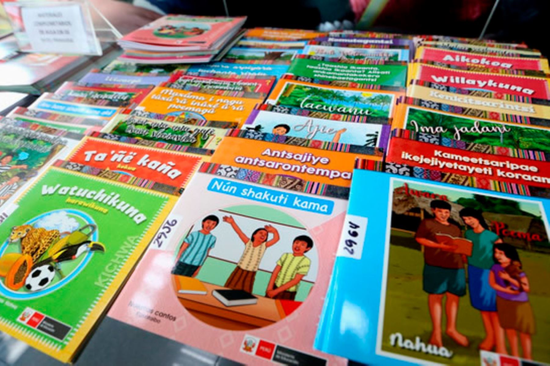 El Ministerio de Educación informó que la distribución del material educativo continuará en las próximas semanas. Foto: ANDINA/Minedu