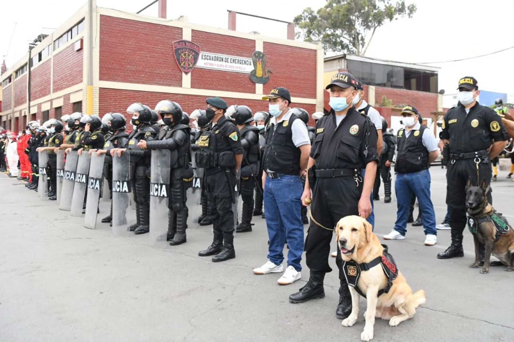 Policías que desempeñan labores en las dependencias policiales saldrán a cumplir labores de patrullaje. Foto: ANDINA/Difusión