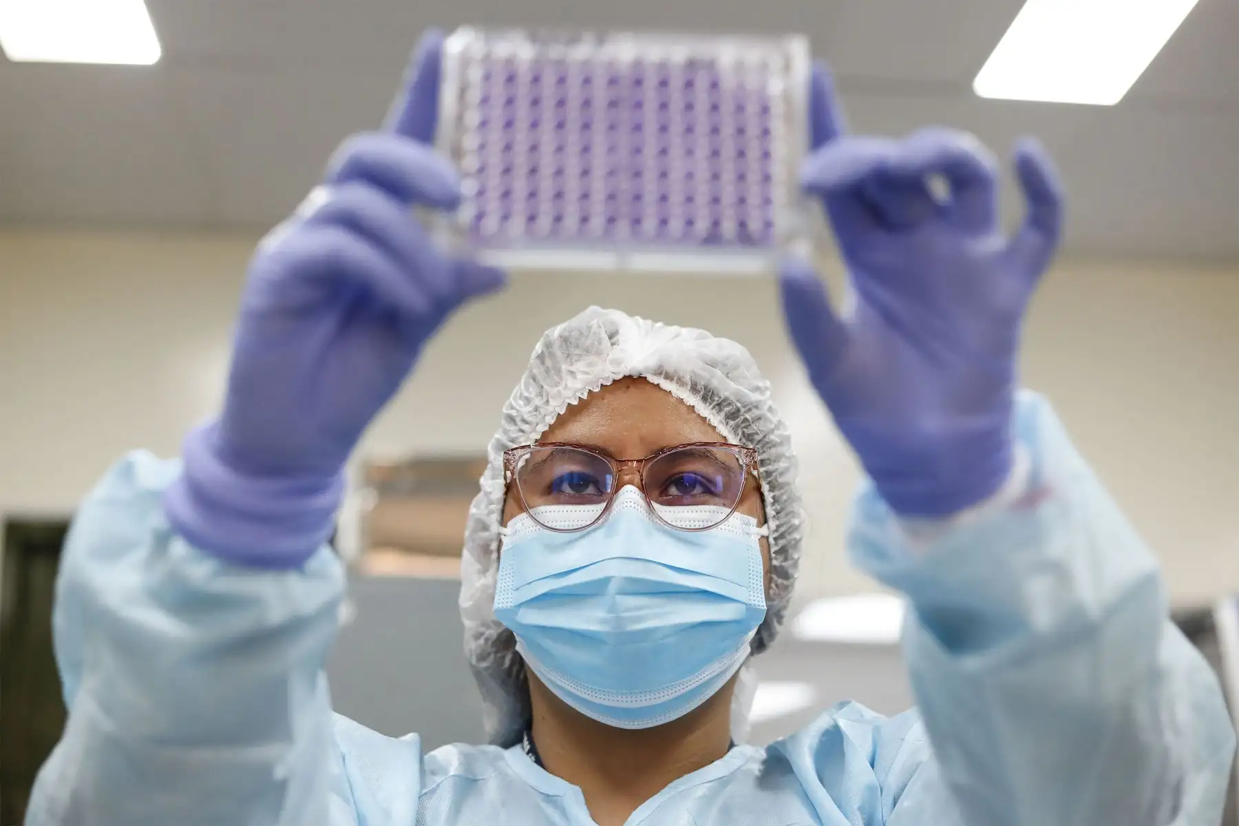 NS logra avances en el desarrollo de nanoanticuerpos para neutralizar la infección por covid-19 de una llama peruana, informó el biólogo molecular INS, Henri Bailón Calderón.
Foto: ANDINA/Renato Pajuelo
