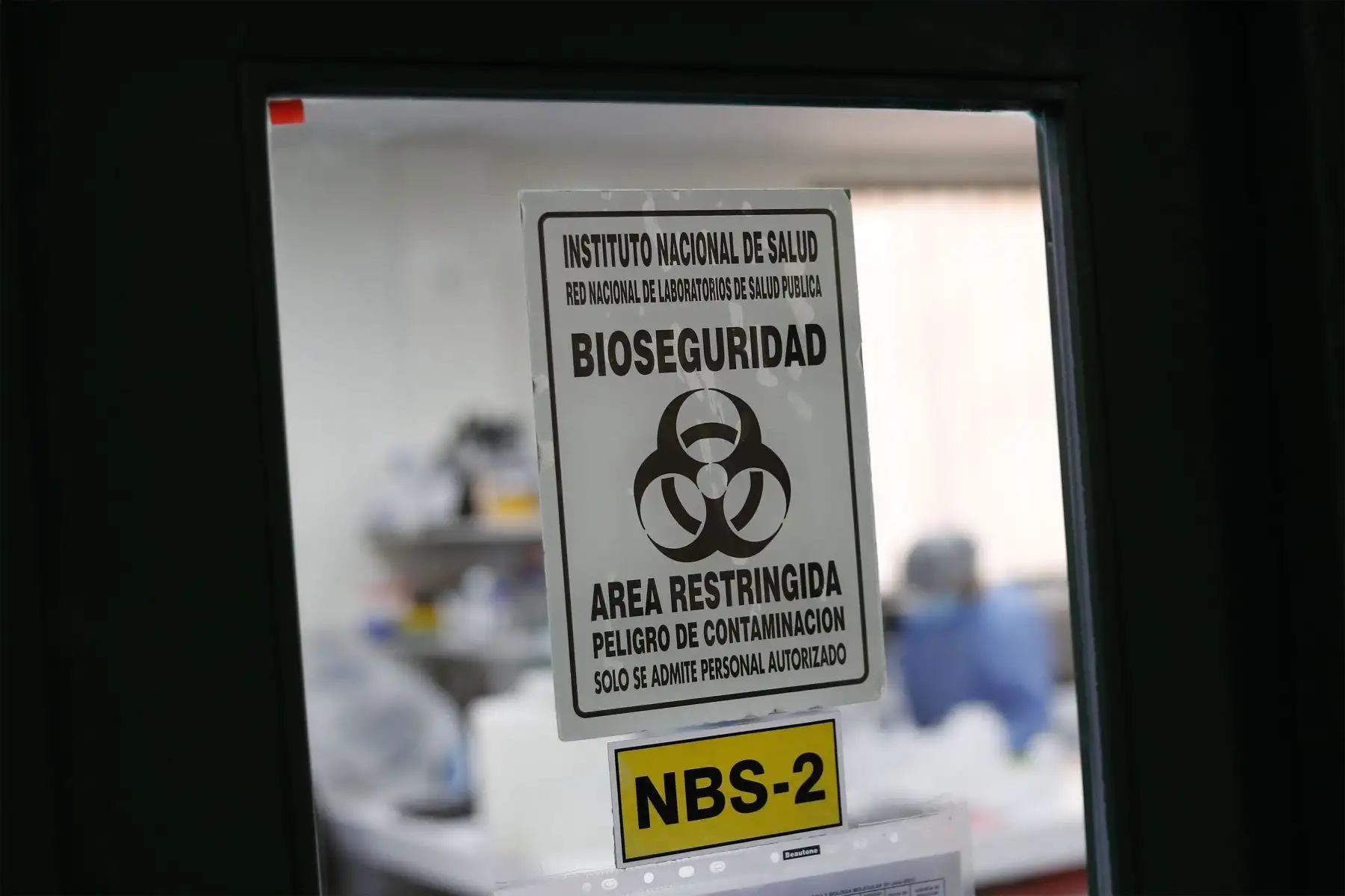NS logra avances en el desarrollo de nanoanticuerpos para neutralizar la infección por covid-19 de una llama peruana, informó el biólogo molecular INS, Henri Bailón Calderón.
Foto: ANDINA/Renato Pajuelo