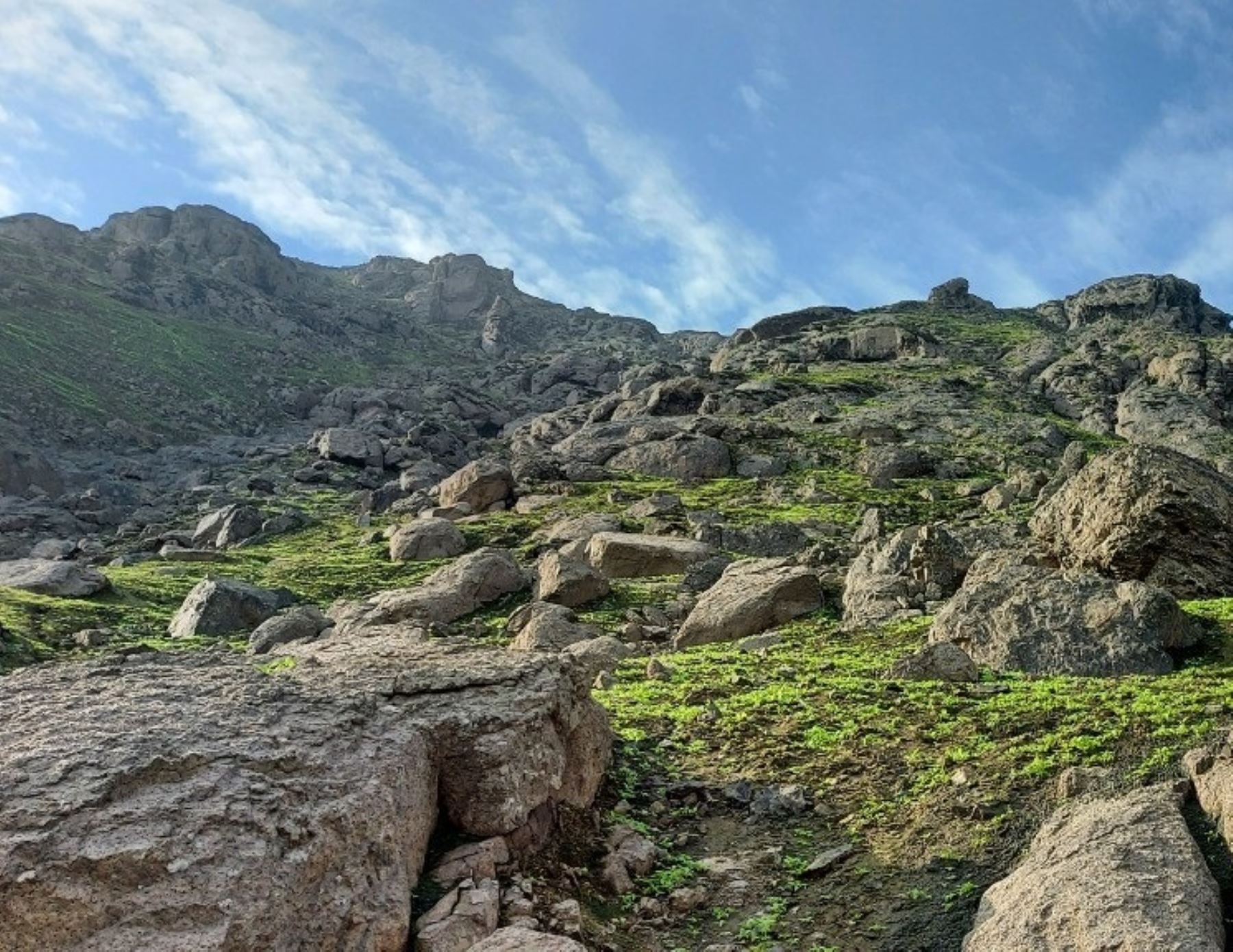 Municipalidad de Trujillo declara intangible al cerro Cabras. Este hábitat forma parte del sistema de lomas costeras.