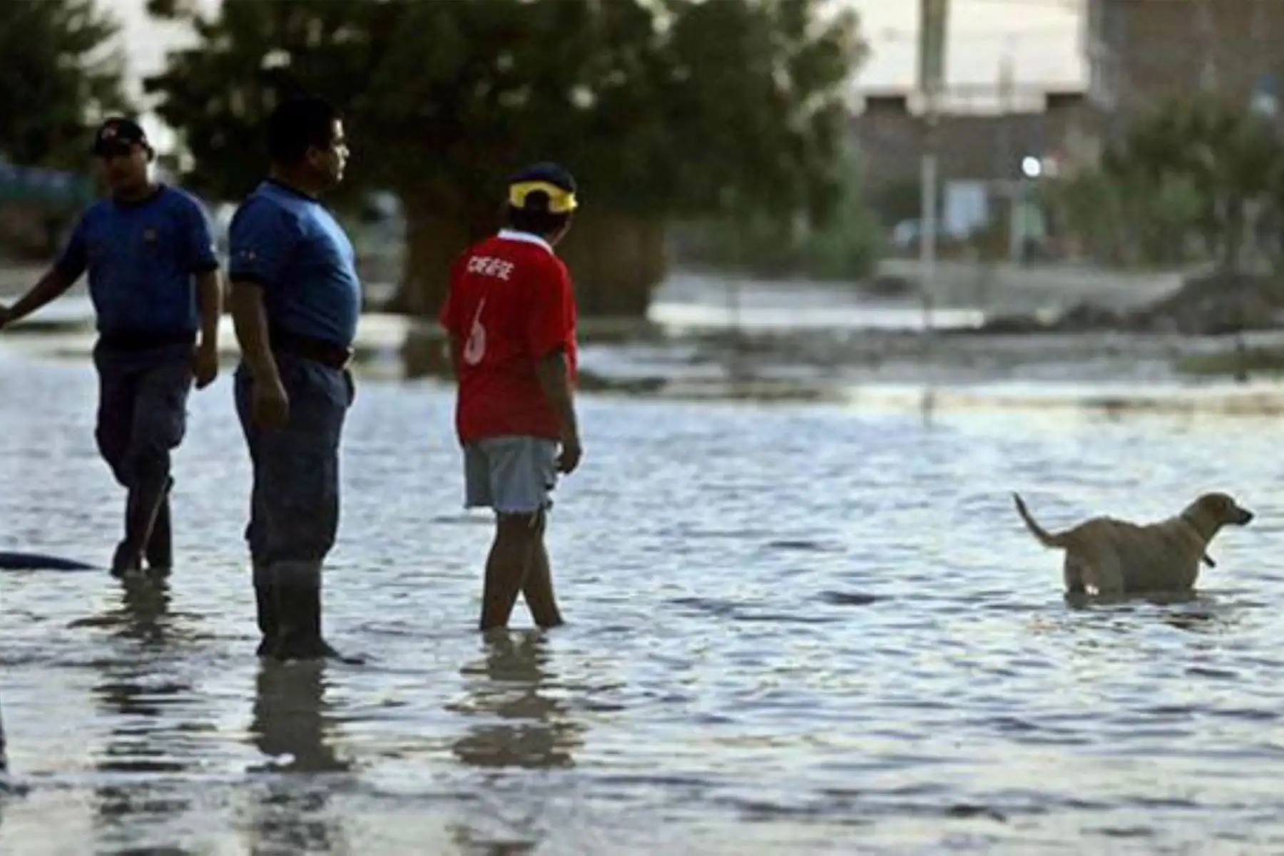 Minsa advierte a regiones lluviosas estar prevenidas para evitar brote de la leptospirosis