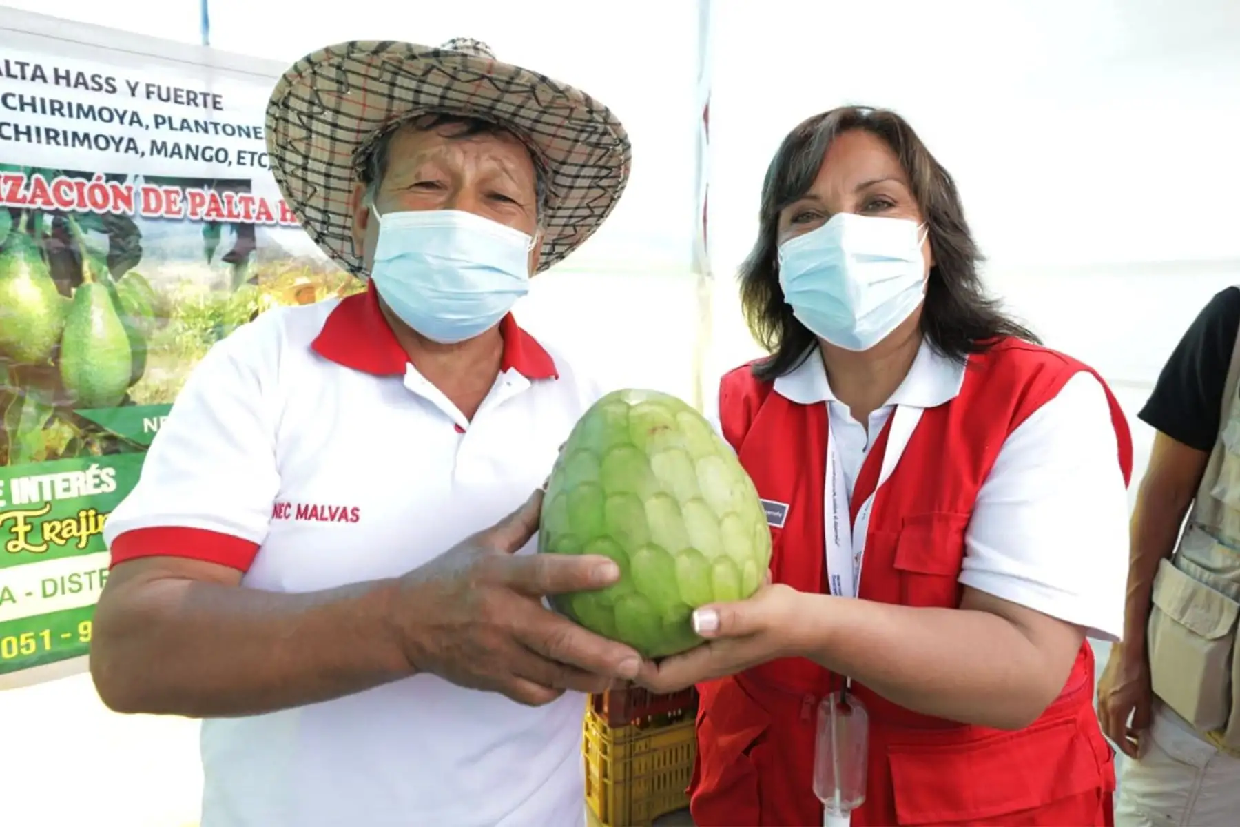 Ministra de Desarrollo e Inclusión Social, Dina Boluarte inauguró feria que busca promover el acceso a mercados locales para mejorar los ingresos de las familias. Emprendimientos de 70 productores del proyecto Haku Wiñay se ofrecen en feria agropecuaria regional en Nuevo Chimbote
Foto : Midis