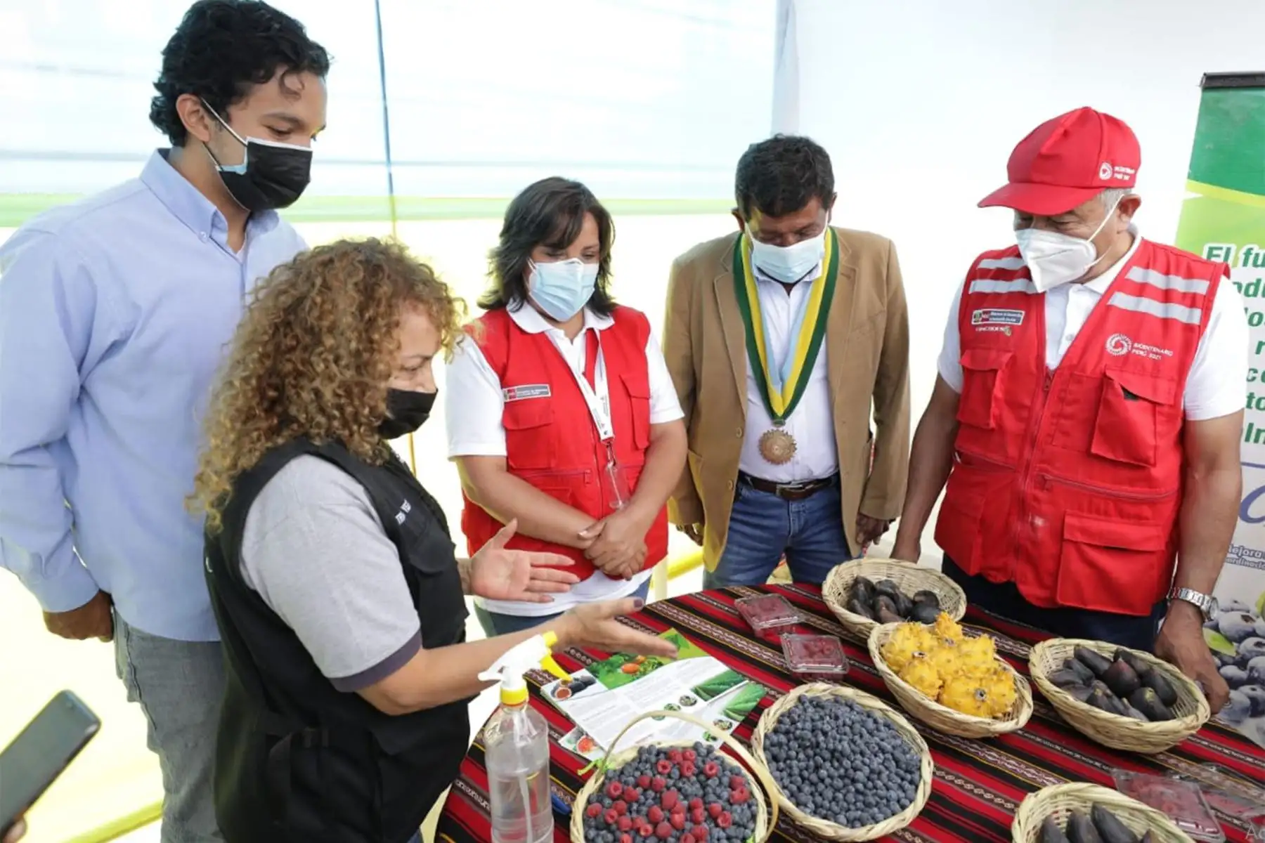 Ministra de Desarrollo e Inclusión Social, Dina Boluarte inauguró feria que busca promover el acceso a mercados locales para mejorar los ingresos de las familias. Emprendimientos de 70 productores del proyecto Haku Wiñay se ofrecen en feria agropecuaria regional en Nuevo Chimbote
Foto : Midis