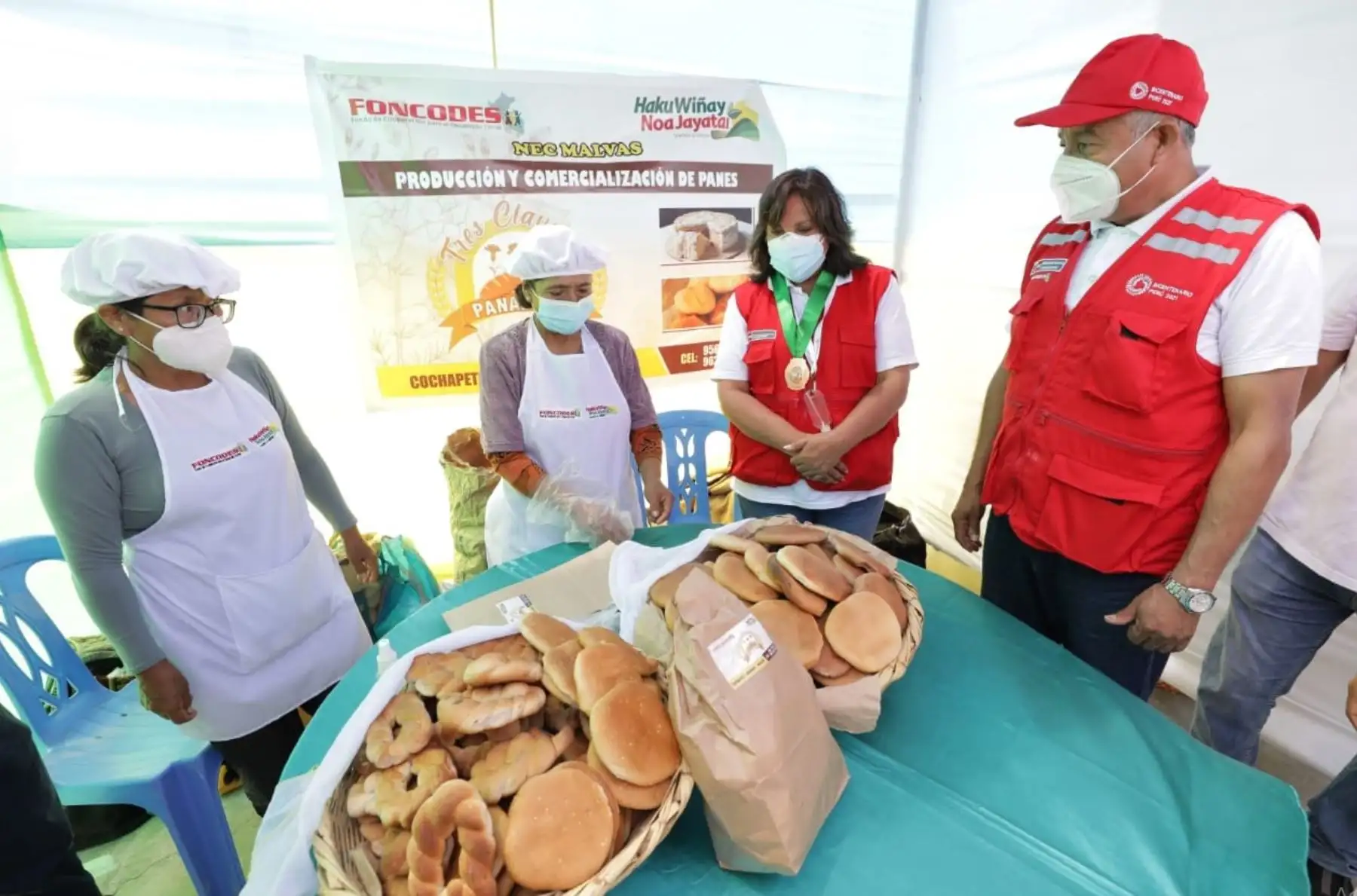 Ministra de Desarrollo e Inclusión Social, Dina Boluarte inauguró feria que busca promover el acceso a mercados locales para mejorar los ingresos de las familias. Emprendimientos de 70 productores del proyecto Haku Wiñay se ofrecen en feria agropecuaria regional en Nuevo Chimbote
Foto : Midis