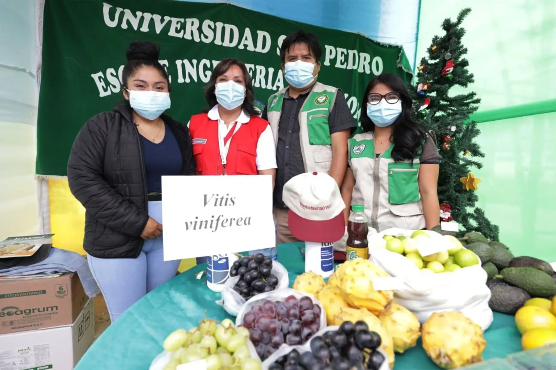Ministra de Desarrollo e Inclusión Social, Dina Boluarte inauguró feria que busca promover el acceso a mercados locales para mejorar los ingresos de las familias. Emprendimientos de 70 productores del proyecto Haku Wiñay se ofrecen en feria agropecuaria regional en Nuevo Chimbote
Foto : Midis