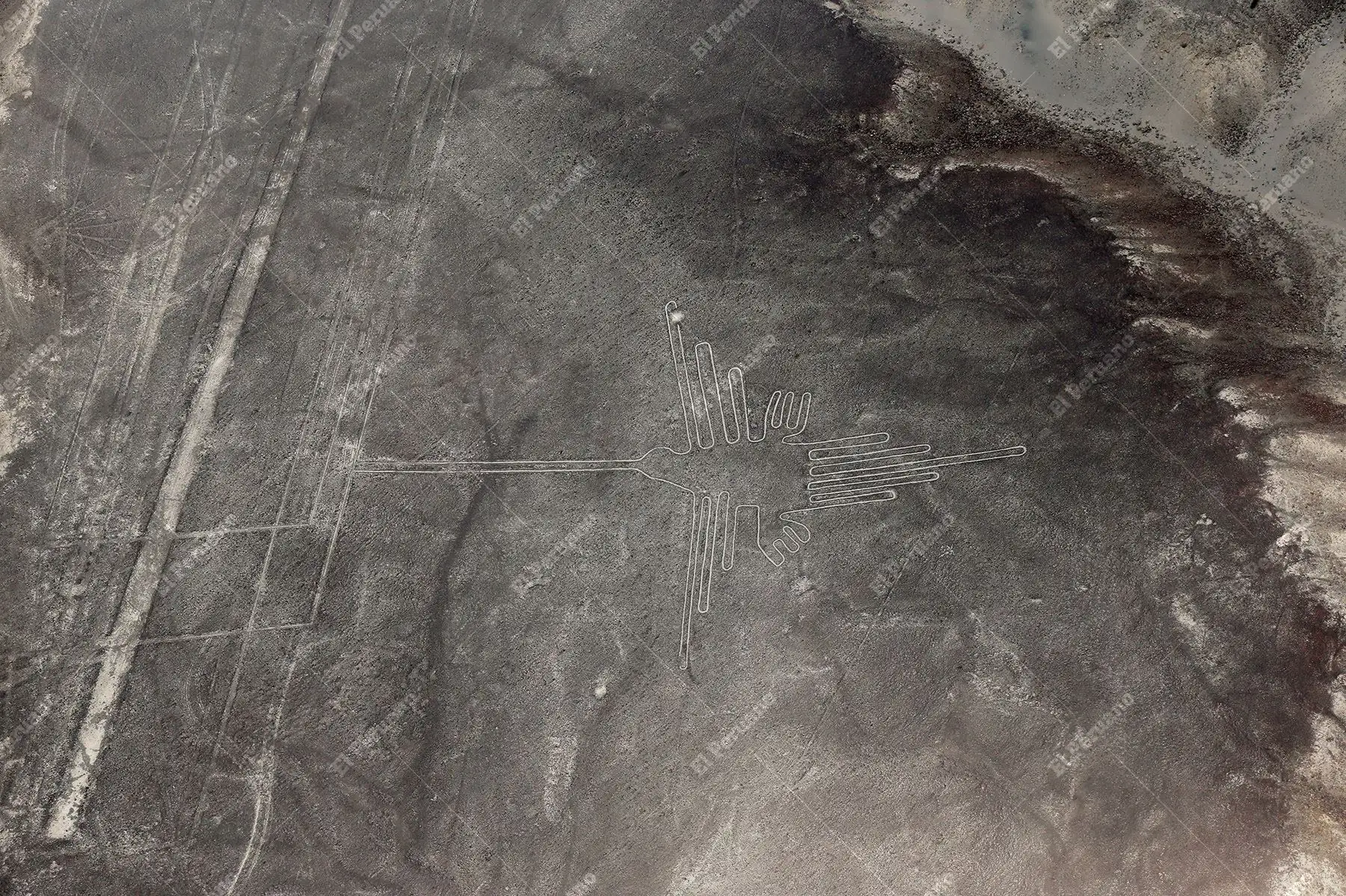 Ica - 19 febrero 2015 / Las líneas de Nasca, declaradas como Patrimonio Histórico y Cultural de la Humanidad el 17 de diciembre de 1994. Foto: Diario Oficial El Peruano / Norman Córdova