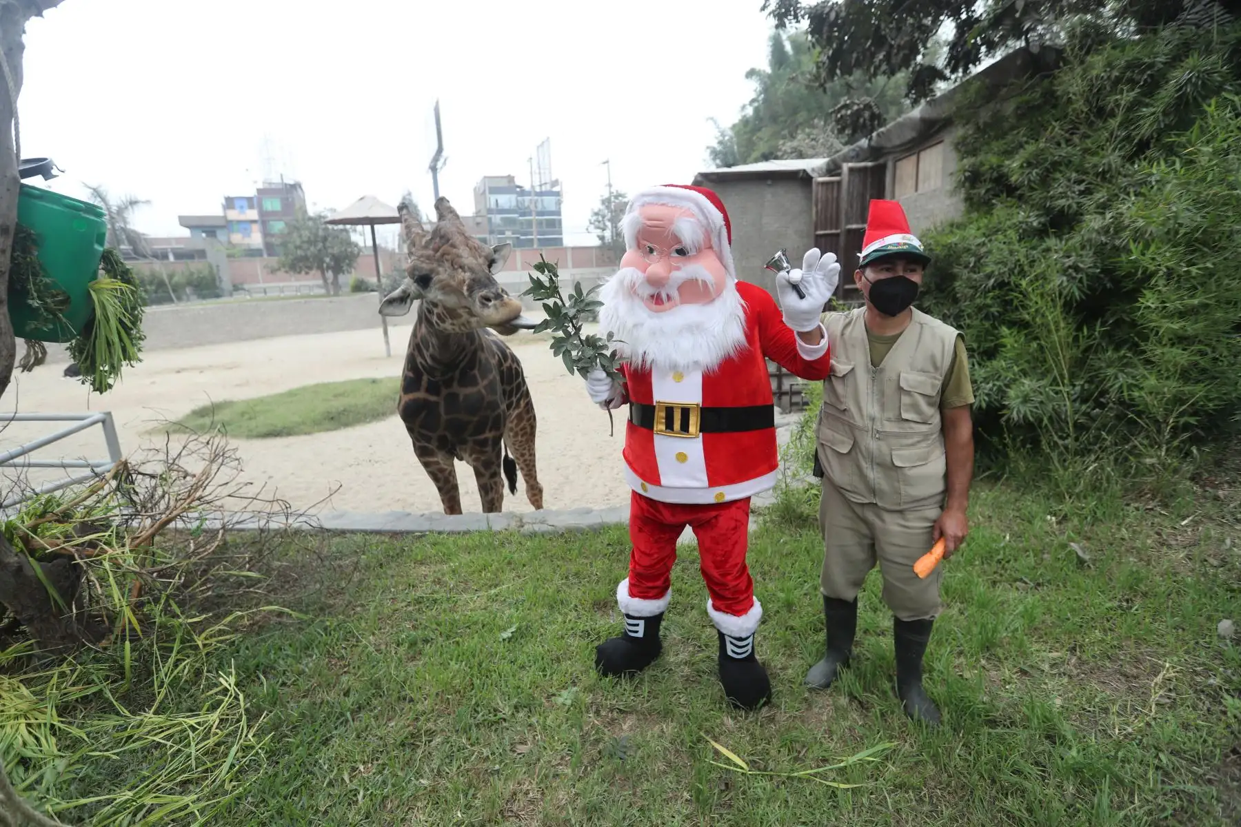 Zoológico Huachipa, vive el espíritu navideño, impulsando la campaña el "Zoológico hace realidad tus sueños"  dónde los niños que escriban sus cartas a Papa Noel, podrán recibir un premio de sus propias manos. Foto: ANDINA/Carla Patiño Ramírez