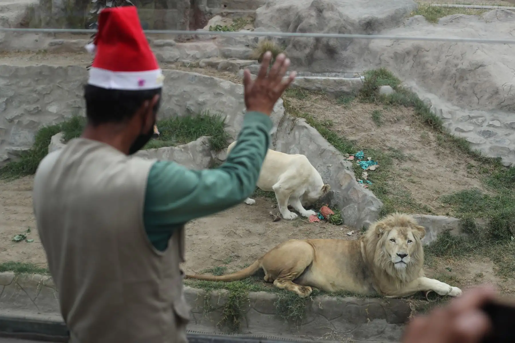 Zoológico Huachipa, vive el espíritu navideño, impulsando la campaña el "Zoológico hace realidad tus sueños"  dónde los niños que escriban sus cartas a Papa Noel, podrán recibir un premio de sus propias manos. Foto: ANDINA/Carla Patiño Ramírez