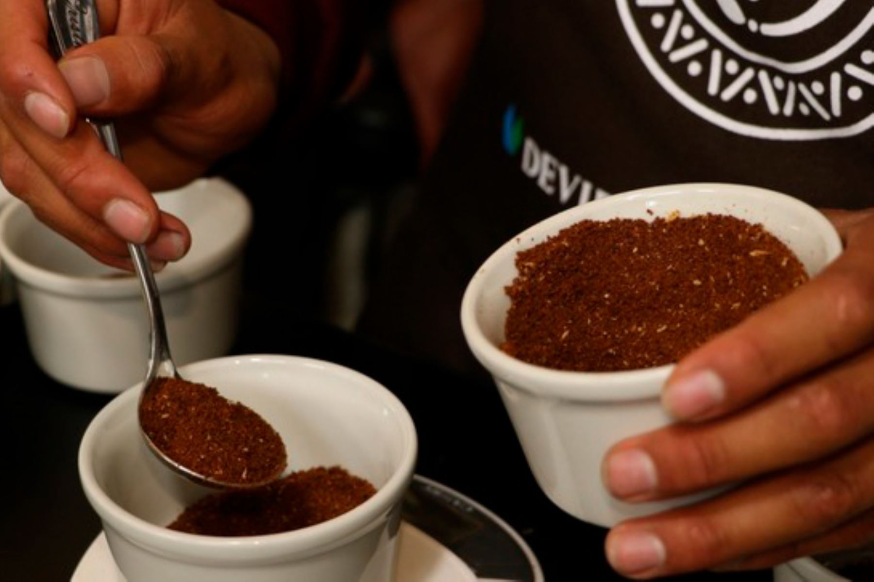 Café peruano obtuvo medallas en las categorías acidulado frutado, aromático, dulce aromático, dulce frutado. Foto: ANDINA/Devida