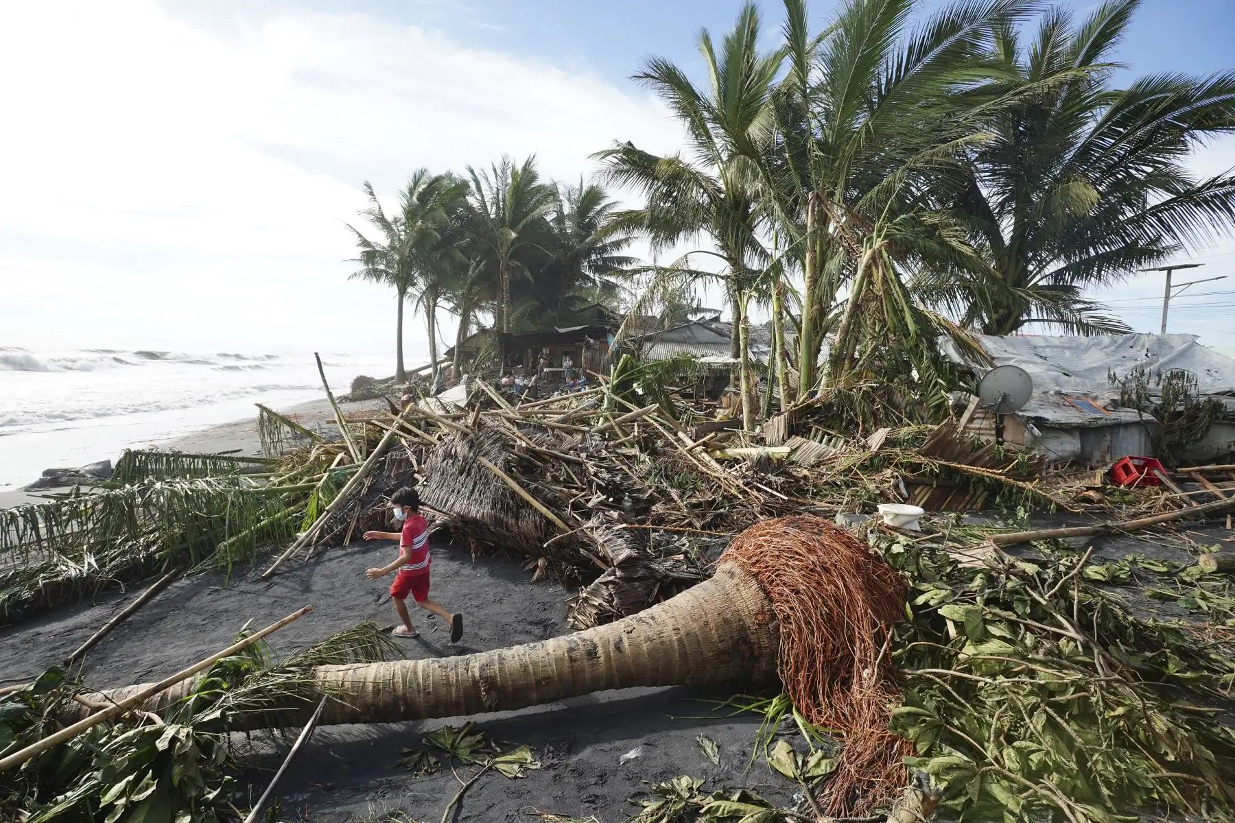 Un niño juega frente a un árbol de coco y plátanos arrancados de raíz tras el paso del tifón Rai, en la ciudad costera de Dulag, en la provincia de Leyte, en Filipinas. Foto: AFP