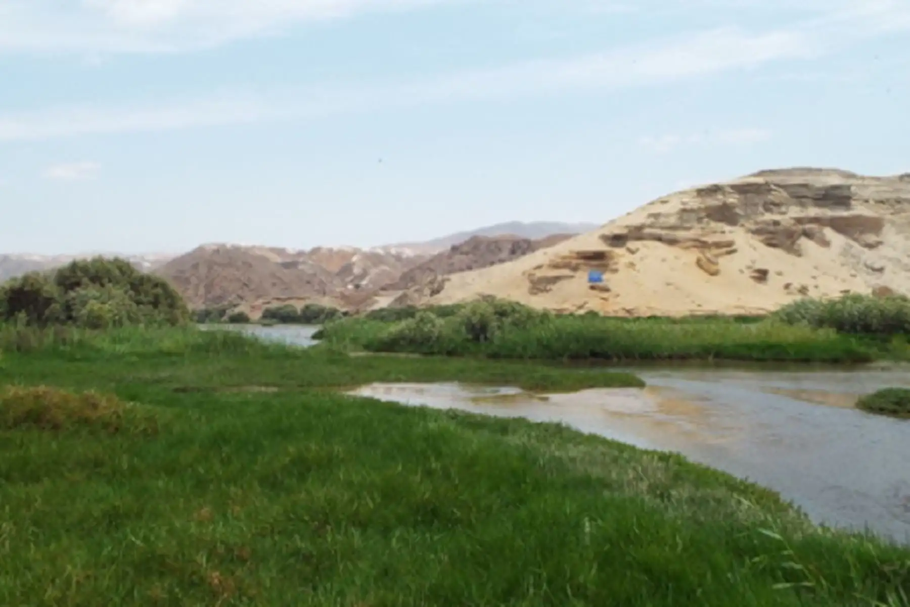 Los ecosistemas degradados necesitan recuperarse para recobrar su capacidad de proveer agua, regular el clima, conservar la biodiversidad, controlar riesgos naturales y mantener los procesos ecológicos esenciales, entre otros servicios ecosistémicos. ANDINA/ Minam