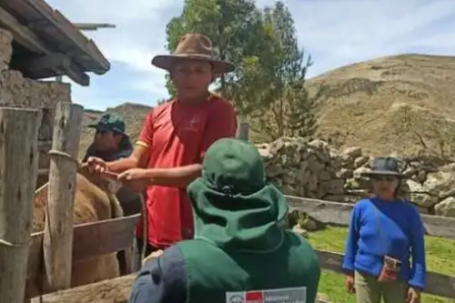 Productores agrarios de Curahuasi, en Apurímac, podrán acceder a créditos gracias a Agrobanco. ANDINA/Difusión