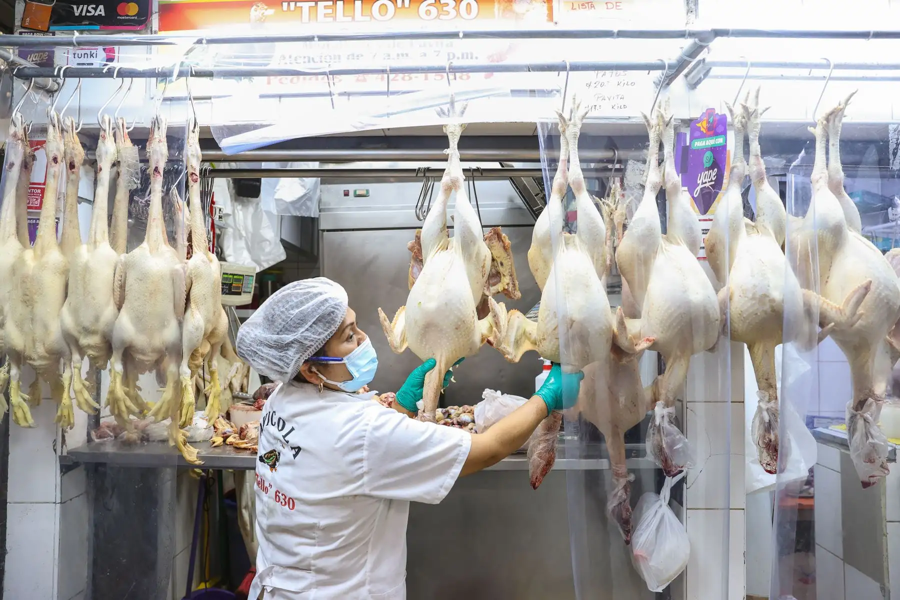 La producción local ofertará un millón 652,000 unidades de pavos para atender la demanda de las familias peruanas en las próximas fiestas de Navidad y Año Nuevo 2022, según informó hoy el Ministerio de Desarrollo Agrario y Riego (Midagri). Foto: ANDINA/Jhonel Rodríguez.