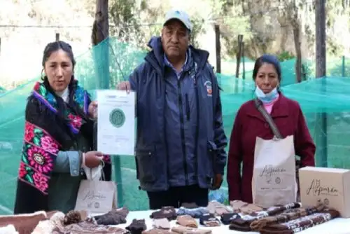 La iniciativa fue gestionada entre el Estado y TexTanta que recibió la licencia de uso de la marca Aliado por la Conservación.