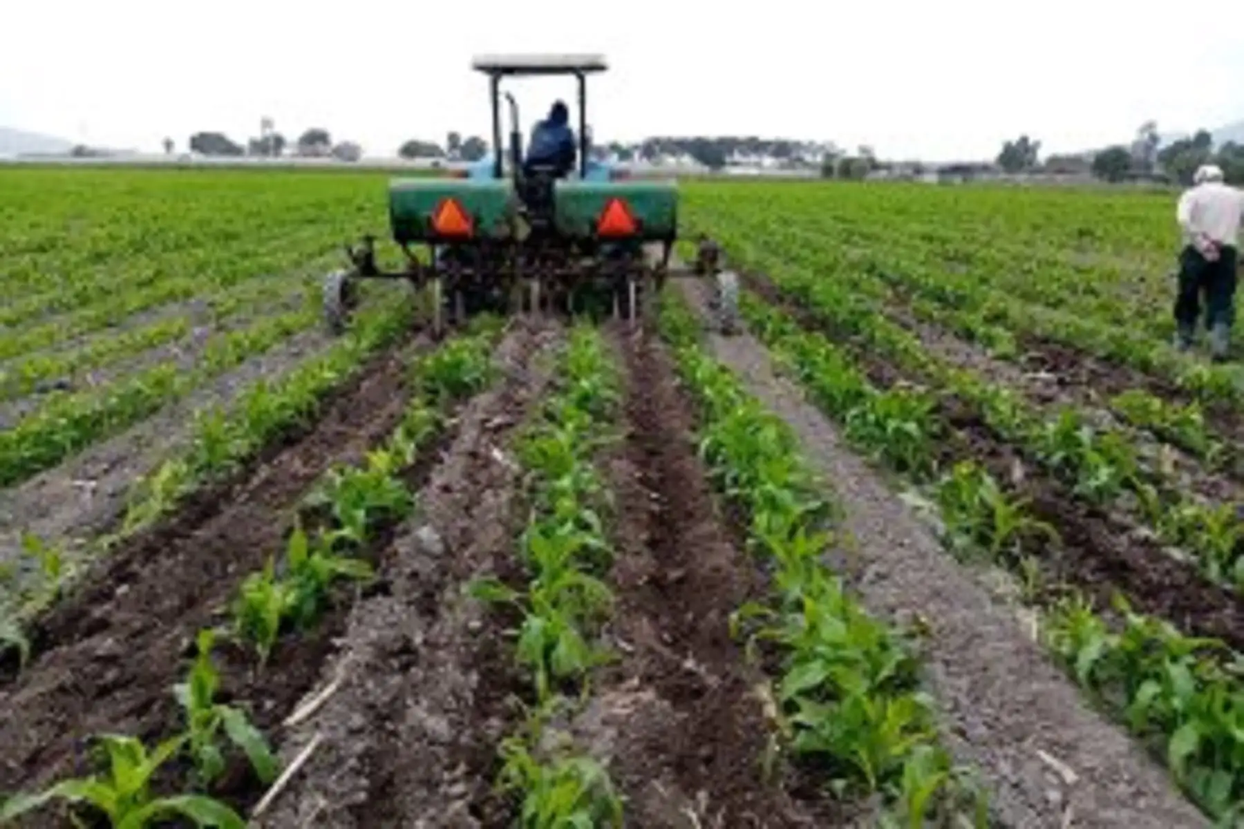 Agro.