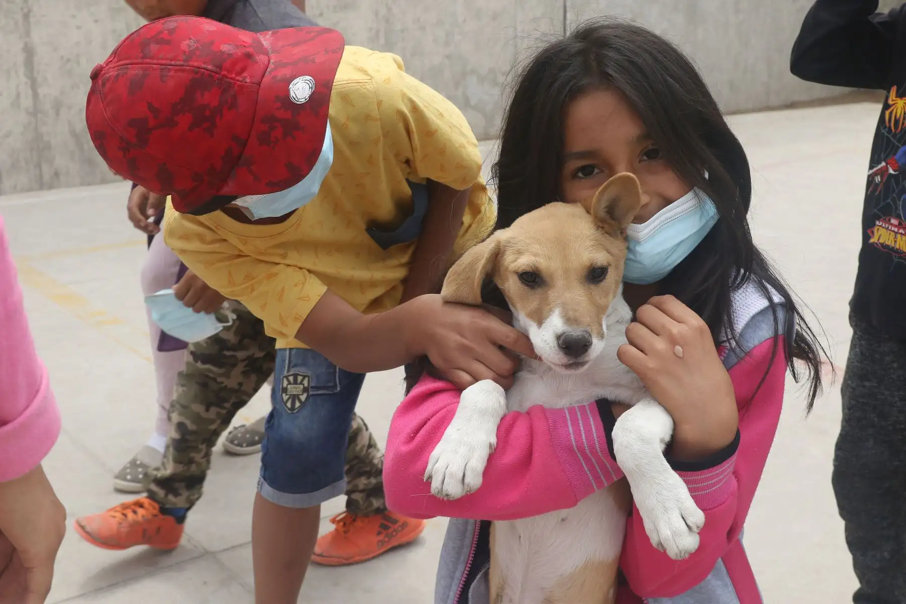 Vecinos del AA.HH Sol Naciente de Comas recordaron con Show y chocolatada al zorro " Run Run ". A través de actividades artísticas concientizaron sobre el cuidado a los animales y mascotas. 
Foto: ANDINA/Eddy Ramos