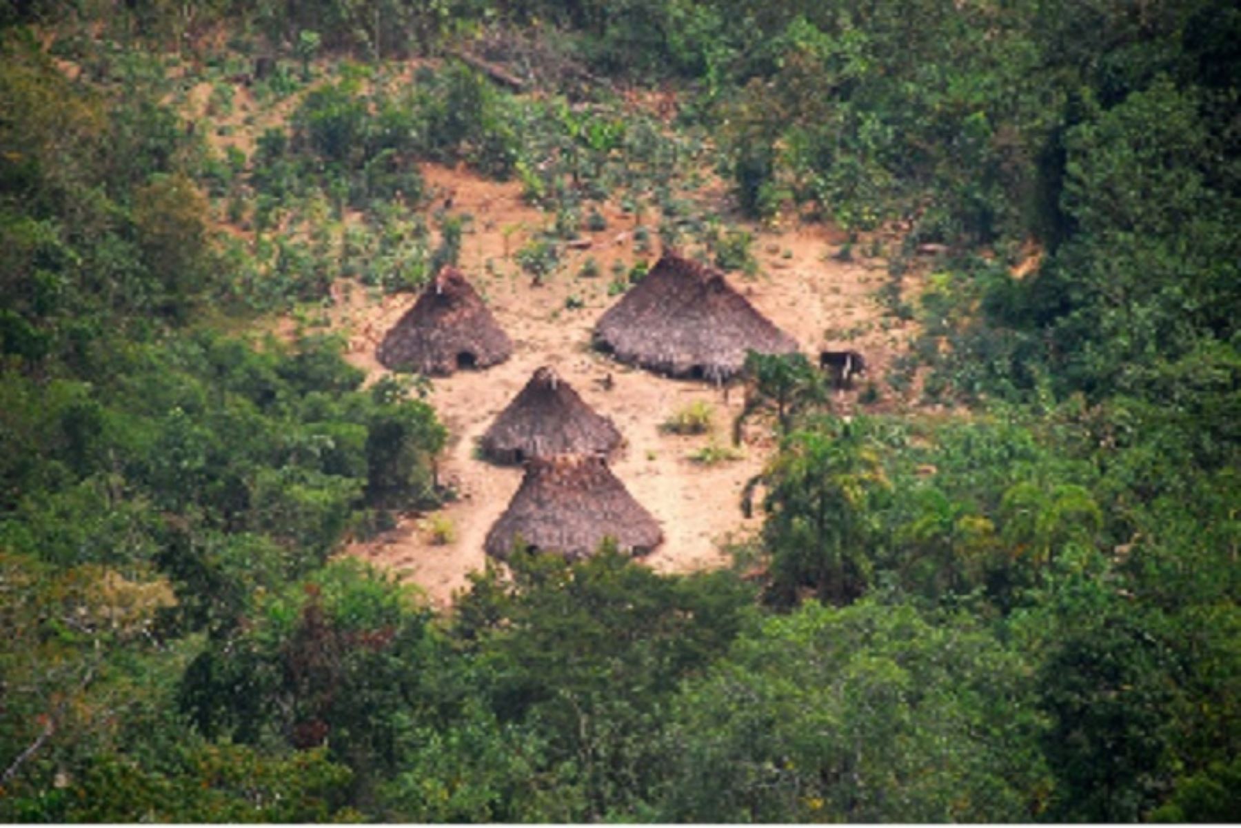 Proceso se concreta tras articulación con ORPIO a fin de proteger áreas donde viven pueblos indígenas en aislamiento ante amenazas como la tala ilegal y el narcotráfico.
