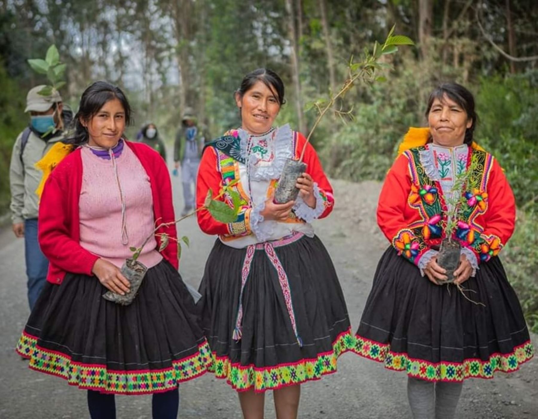 Con un ambiente festivo comuneros de Paucartambo, región Cusco, iniciaron una campaña de reforestación con plantas nativas en las zonas devastadas por incendios forestales. ANDINA/Difusión