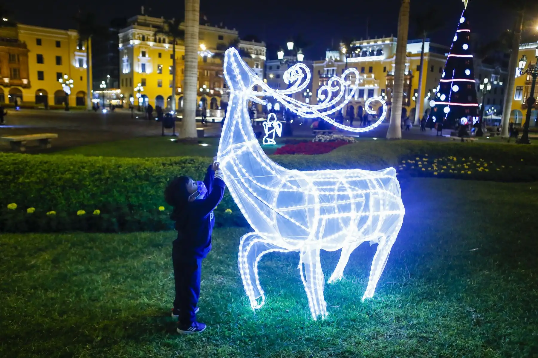 Así se vive la magia de la Navidad en la Plaza de Armas de Lima. Foto: ANDINA/Renato Pajuelo
