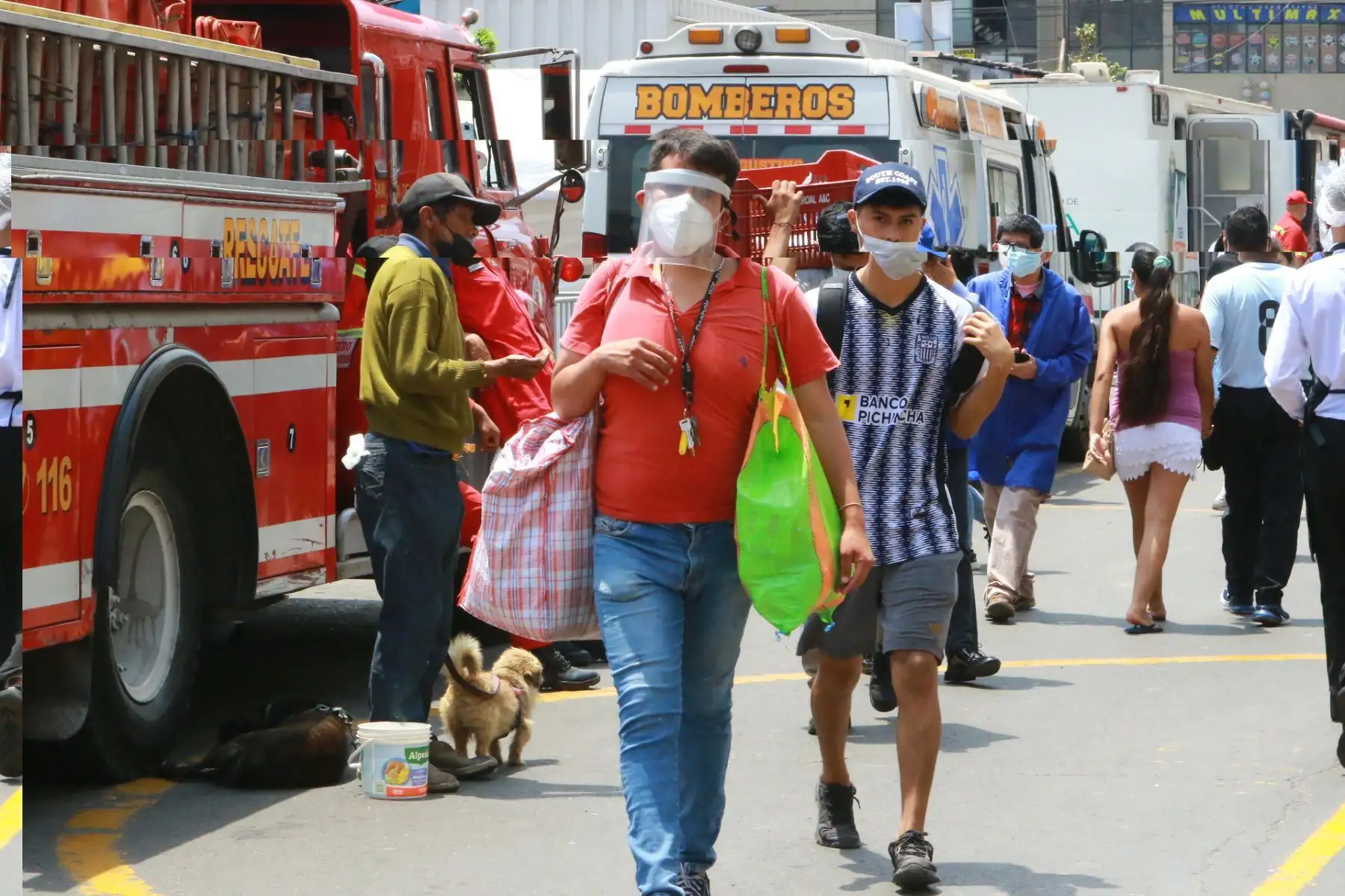 Se incrementan las compras por fiestas navideñasFoto: ANDINA/Héctor Vinces