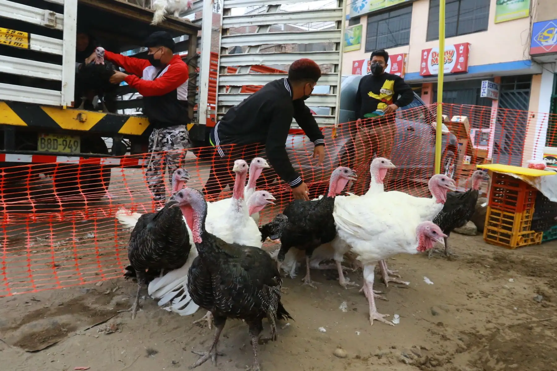 Venta de Pavos y lechones en la Av. Angelica Gamarra de Los Olivos .Foto: ANDINA/Héctor Vinces