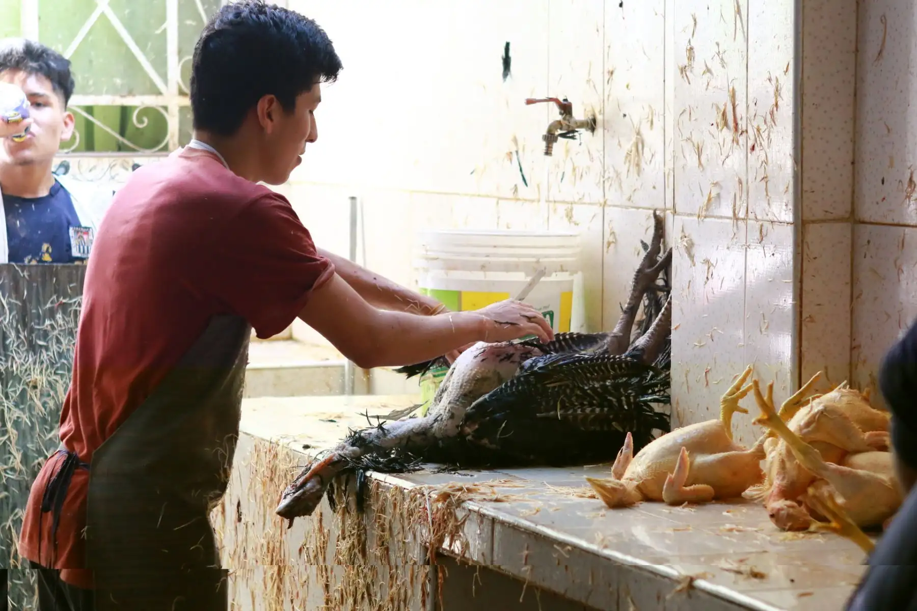 Venta de Pavos y lechones en la Av. Angelica Gamarra de Los Olivos .Foto: ANDINA/Héctor Vinces