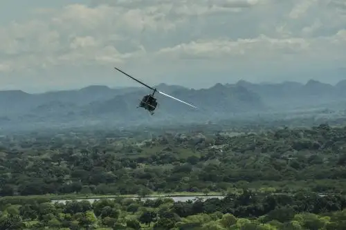 Amazonía. Foto: AFP