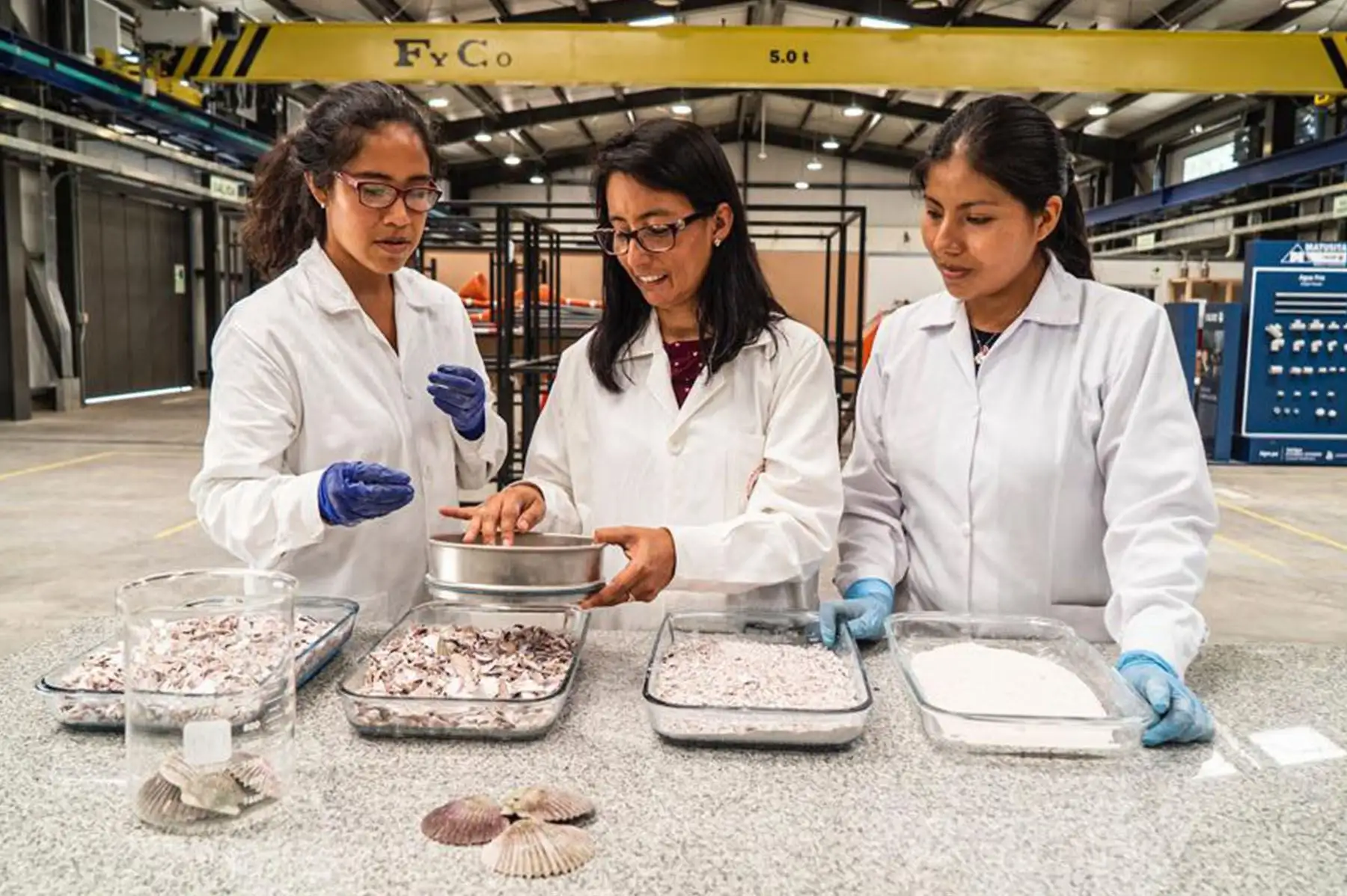La doctora en Química, Silvia Ponce Álvarez, creó un filtro a base de conchas de abanico y langostinos que serviría para limpiar y descontaminar los metales pesados del agua utilizada en las piscigranjas de truchas.