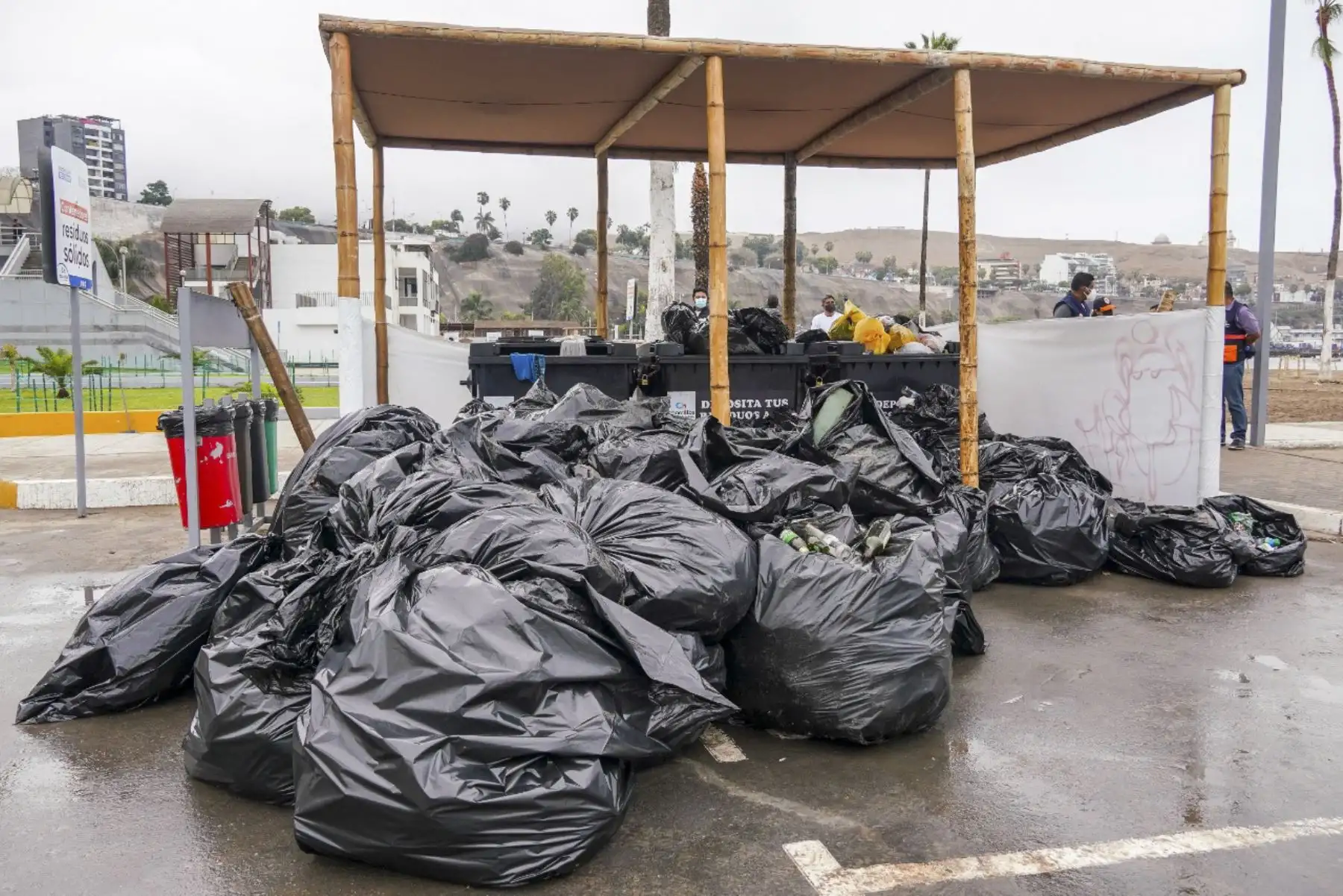 Más de 8,000 botellas de licor incautadas y dos toneladas de basura recogidas es el saldo que dejó la concurrencia de bañistas a la playa Agua Dulce, ayer domingo 26 de diciembre, reportó la Municipalidad de Chorrillos.
Foto: ANDINA/Municipalidad de Chorrillos
