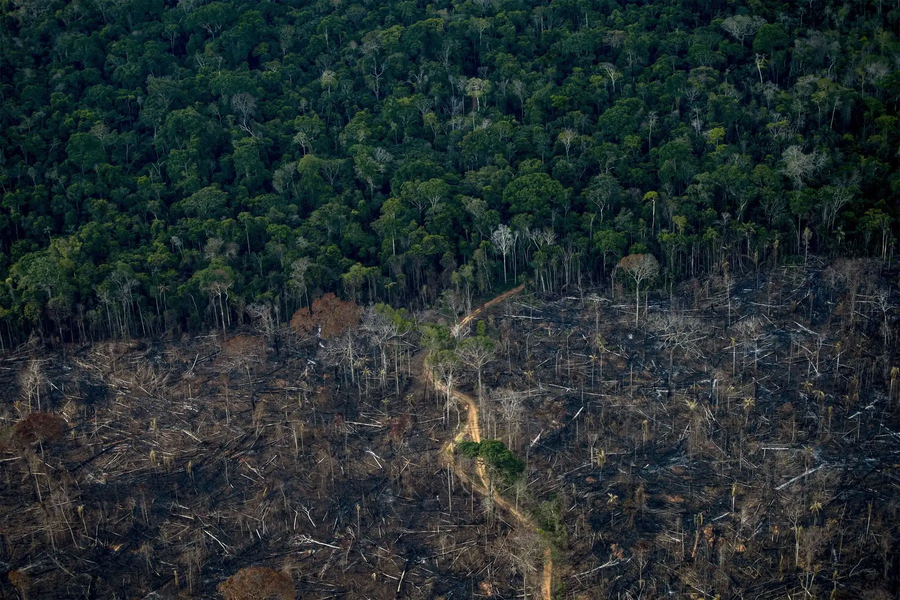 La vista aérea muestra un área deforestada de la selva amazónica en Labrea, estado de Amazonas, Brasil, el 15 de septiembre de 2021. 
Foto: AFP