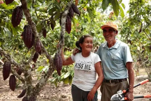 El enfoque estratégico de la revolución productiva que ha convertido a la región San Martín en un modelo de desarrollo para el Perú, siendo líderes a nivel mundial en la propuesta del pago de servicios ecosistémicos y ocupando estos años los primeros lugares en ejecución presupuestal, destacó el gobernador regional Pedro Bogarín Vargas.