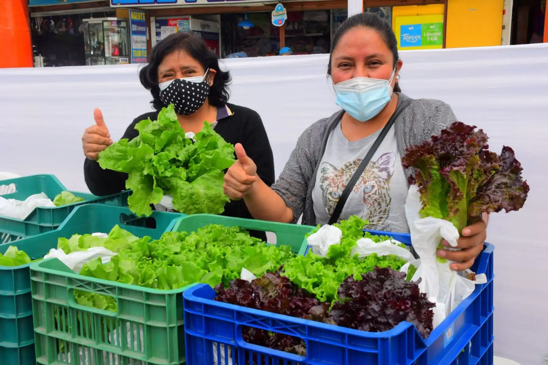 Emprendedores y microempresarios recibieron asesoramiento a través de las Redes de Incubadoras de Empresas Agroecológicas y Culturales de la MML. Foto: ANDINA/Difusión.