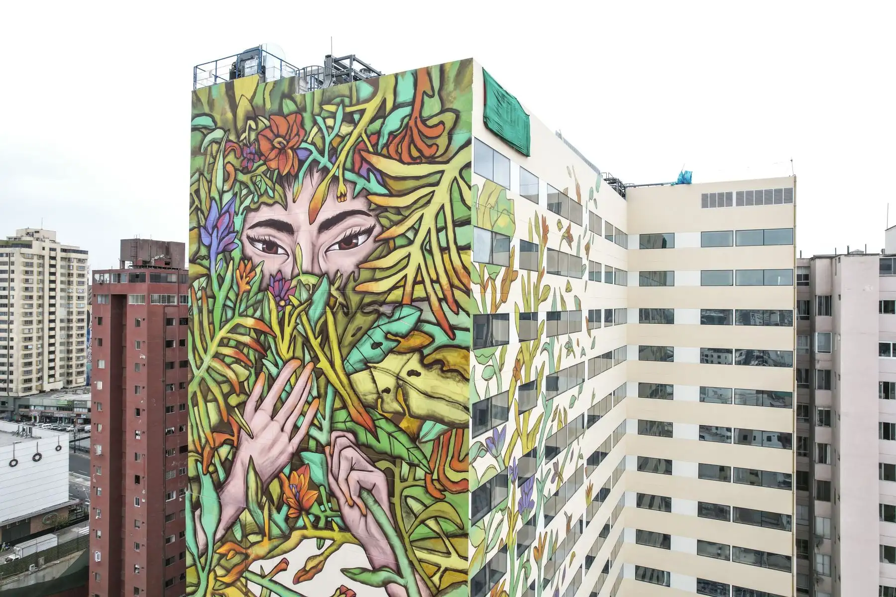 Murales pintados por artistas urbanos se exhiben en paredes de edificios y casas de Miraflores. Los jóvenes artistas imponen sus coloridas obras en paredes que anteriormente lucían vacías. Foto: ANDINA/Jhonel Rodríguez Robles